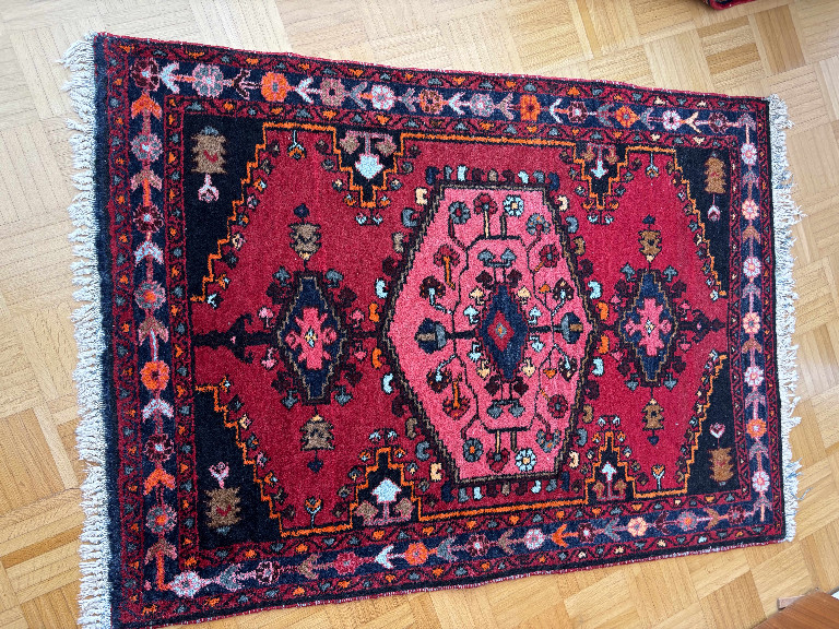 Handgeknüpfter persischer Teppich aus Wolle mit geometrischem Medaillon-Design