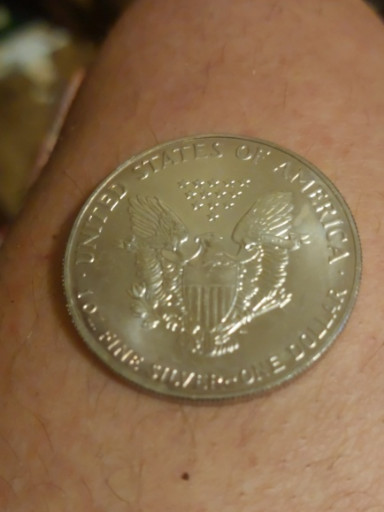 Silver American Eagle coin, 1 oz .999 fine silver bullion coin