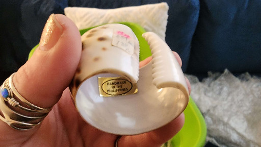 Tiger cowrie shell napkin ring holder from the Philippines
