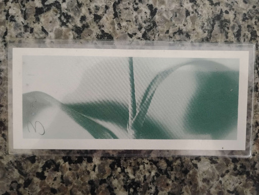 Photographic print by Robert Whitman