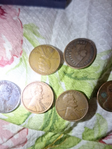 Collection of U.S. coins including Indian Head Pennies and Lincoln Wheat Cents
