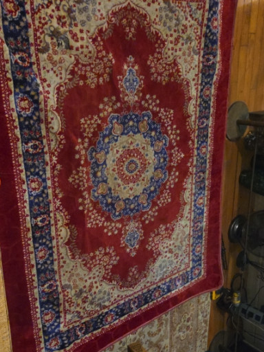 Hand-knotted wool rug with central medallion design, Persian or Turkish style