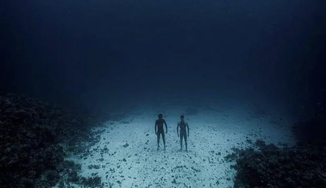 Why Walk On The Sea Floor, Buddy?