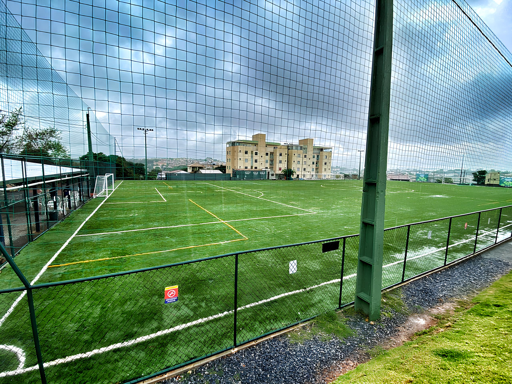 Foto de Arena Flyball