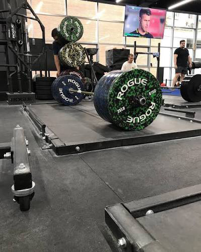 Silverback — foto 1