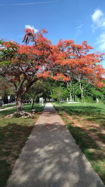 Parque Vizcaya — foto 1