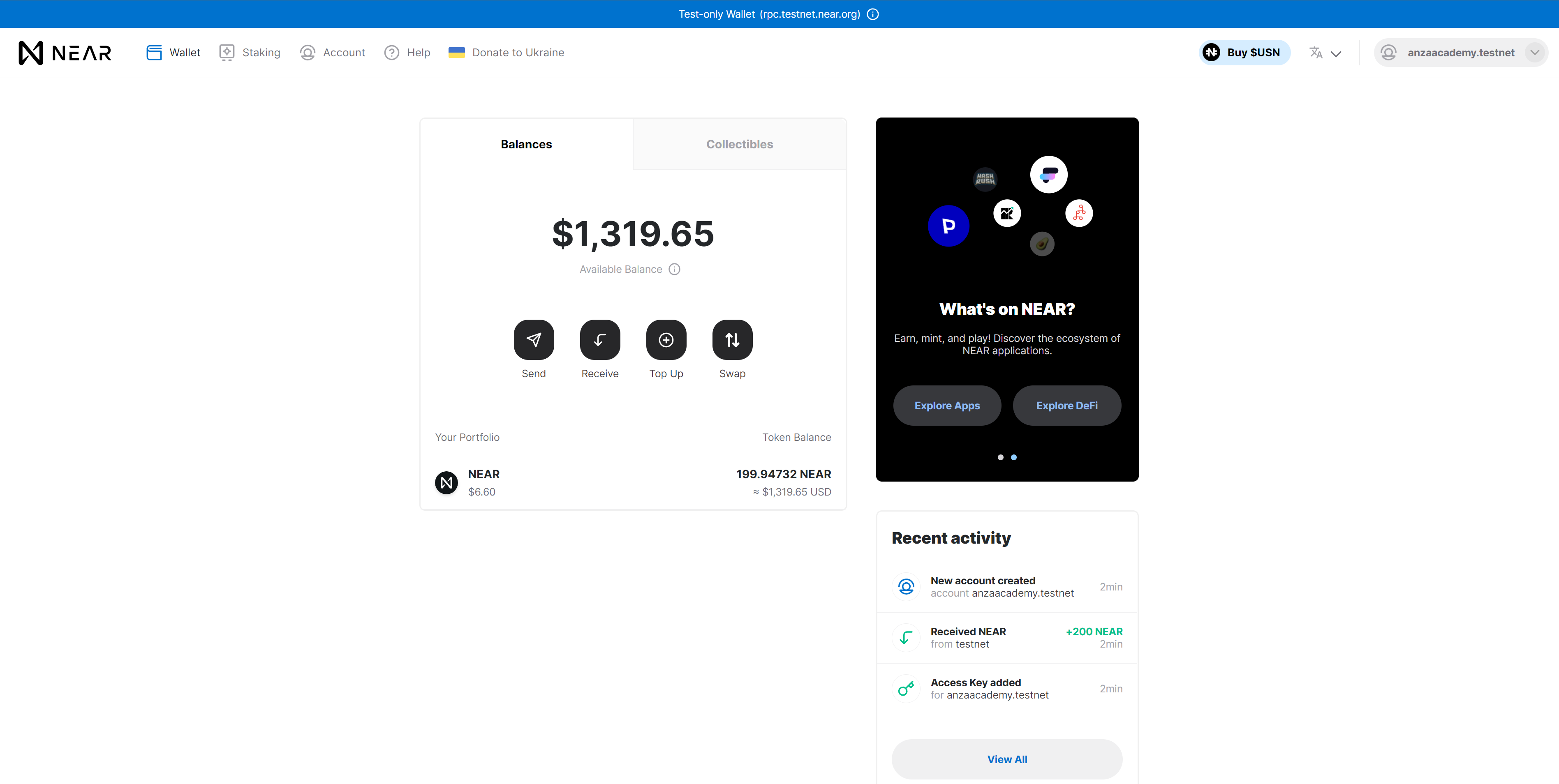 NEAR Testnet main wallet dashboard.