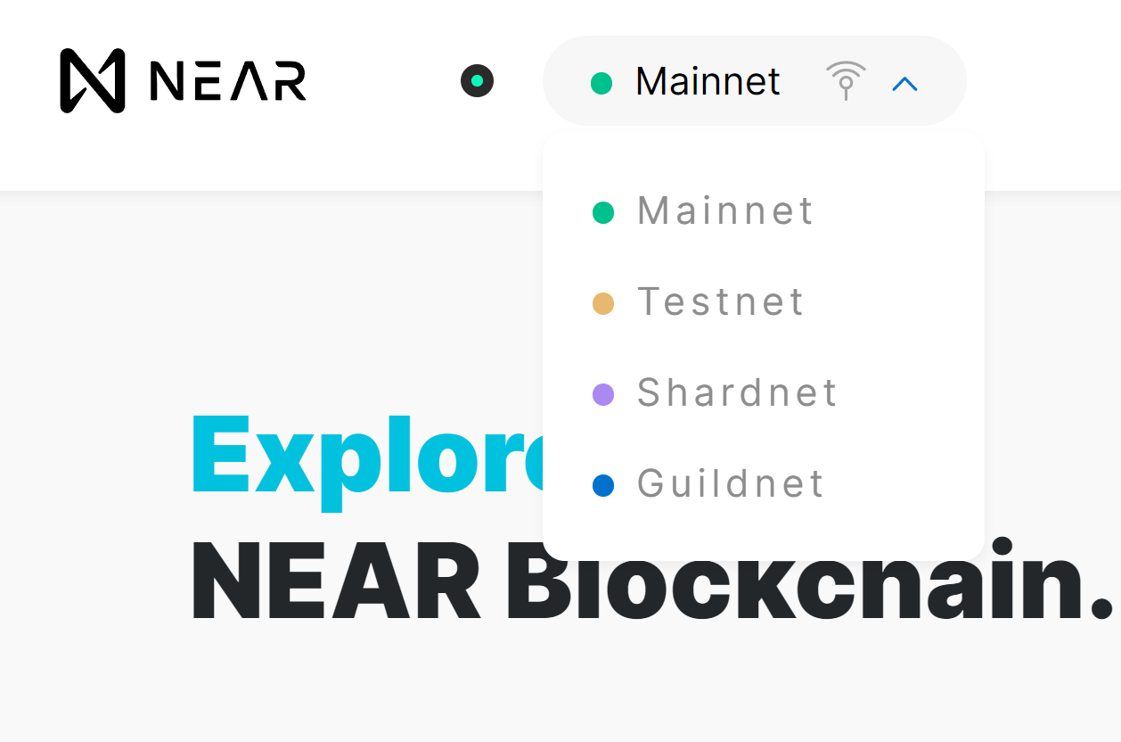 NEAR Explorer Choose Network