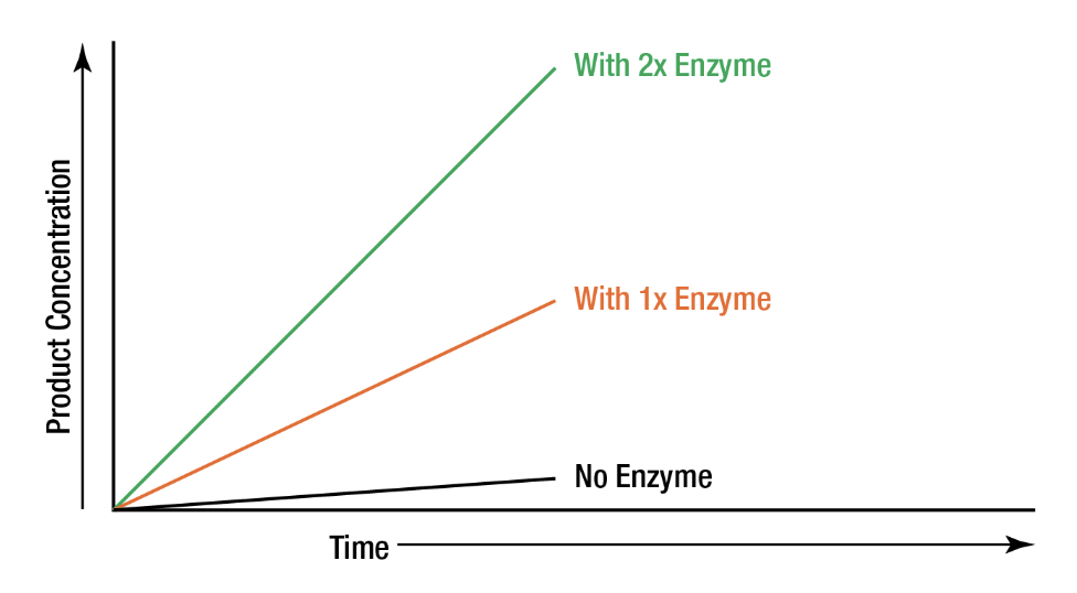 Source: https://www.worthington-biochem.com/tools-resources/intro-to-enzymes/enzyme-concentration