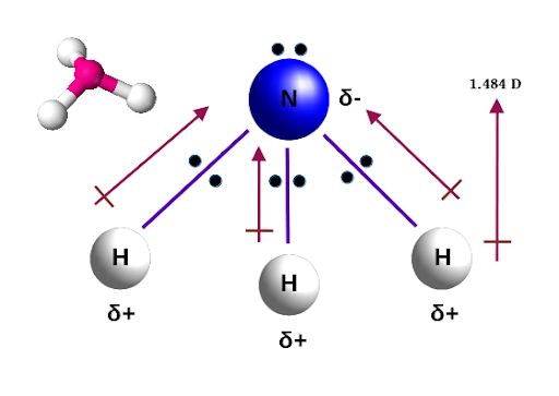 Photo courtesy of Wikipedia