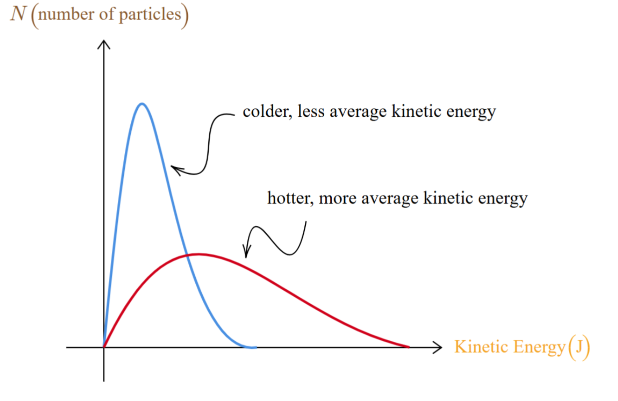 Figure 3.5.1: A graph showing the differences in kinetic energy between colder and hotter particles. Image created by Raymond Zhang.