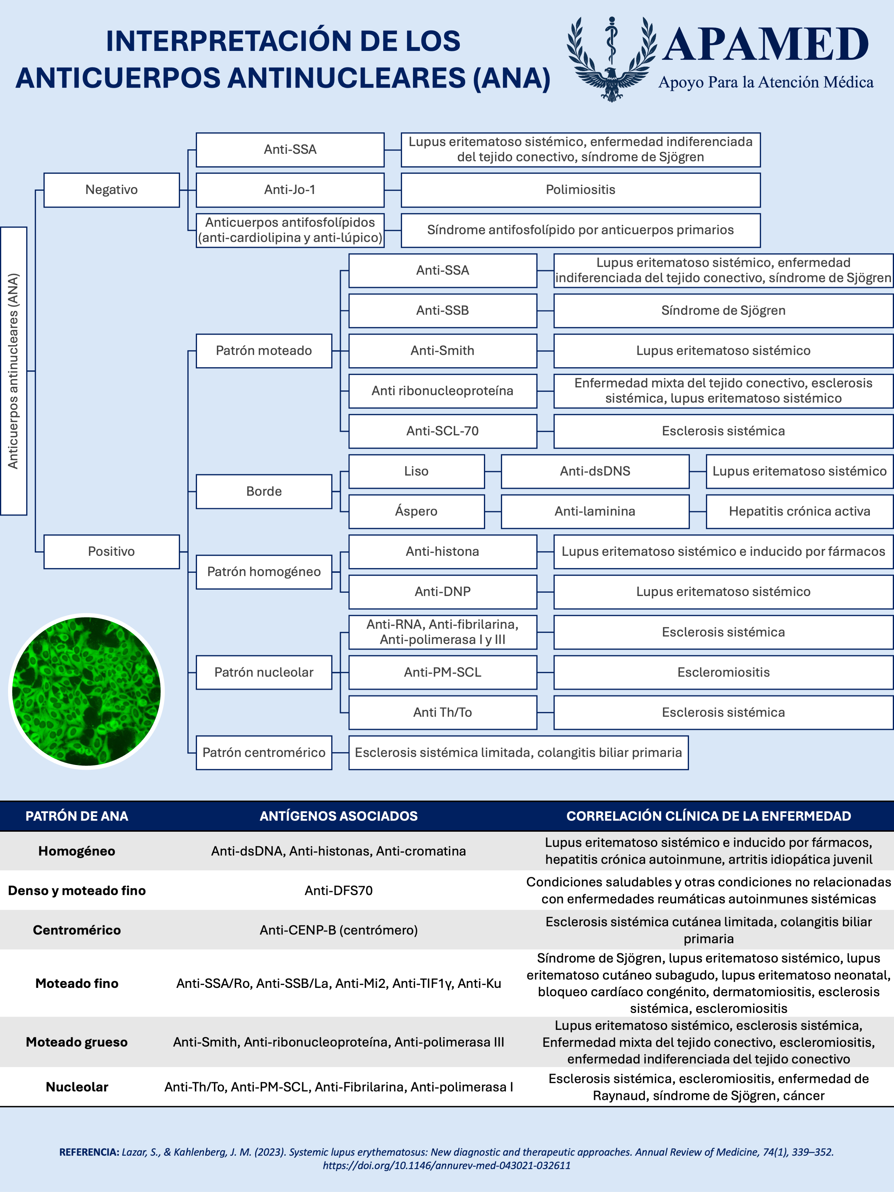 Imagen de infografía en alta resolución