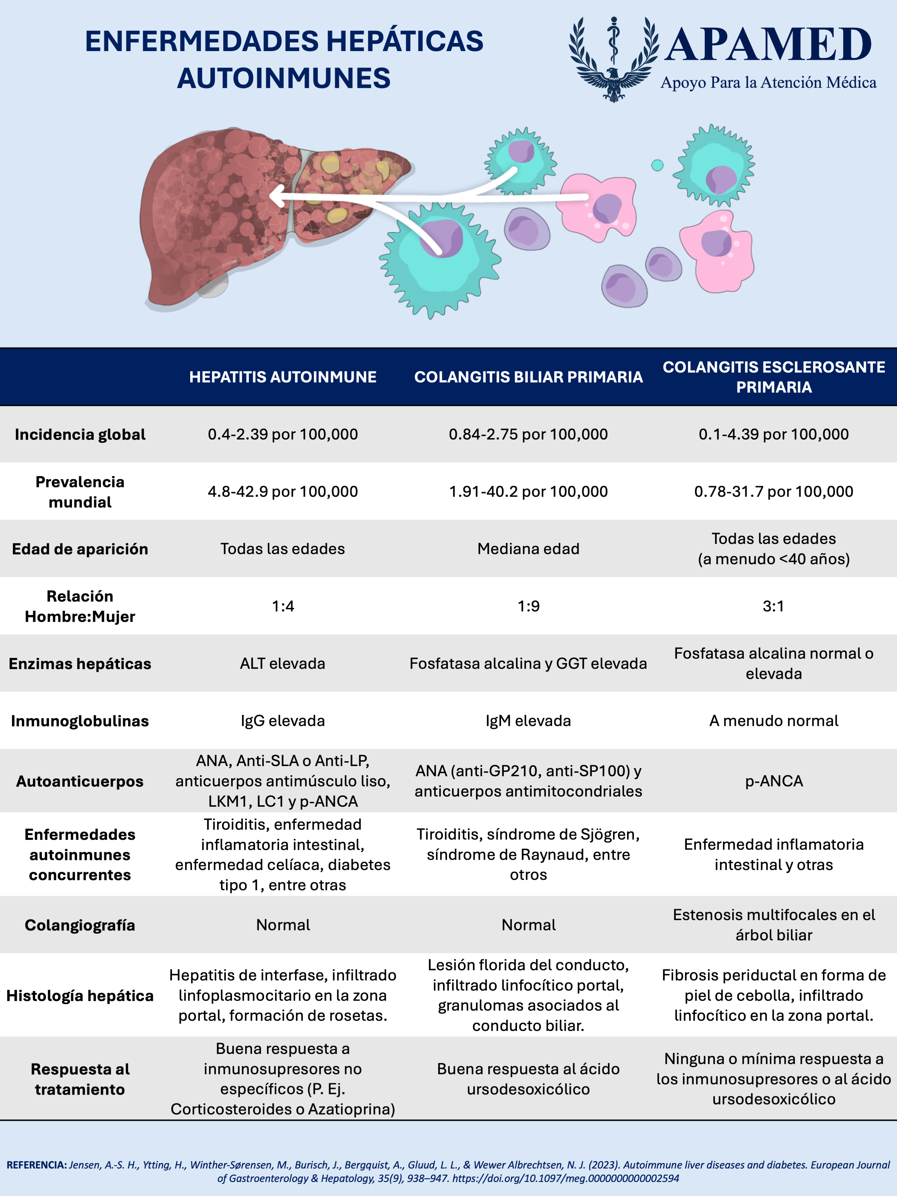Imagen de infografía en alta resolución