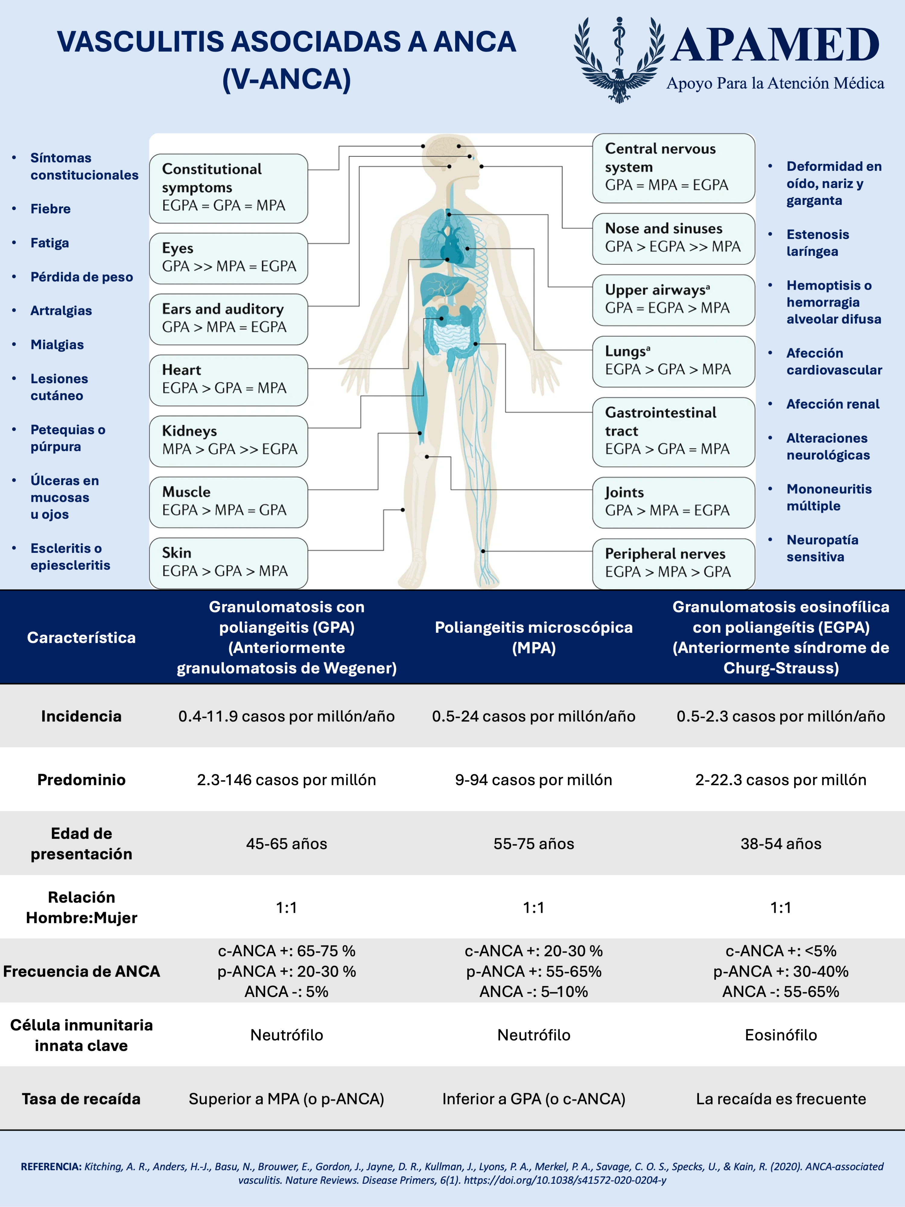 Imagen de infografía en alta resolución