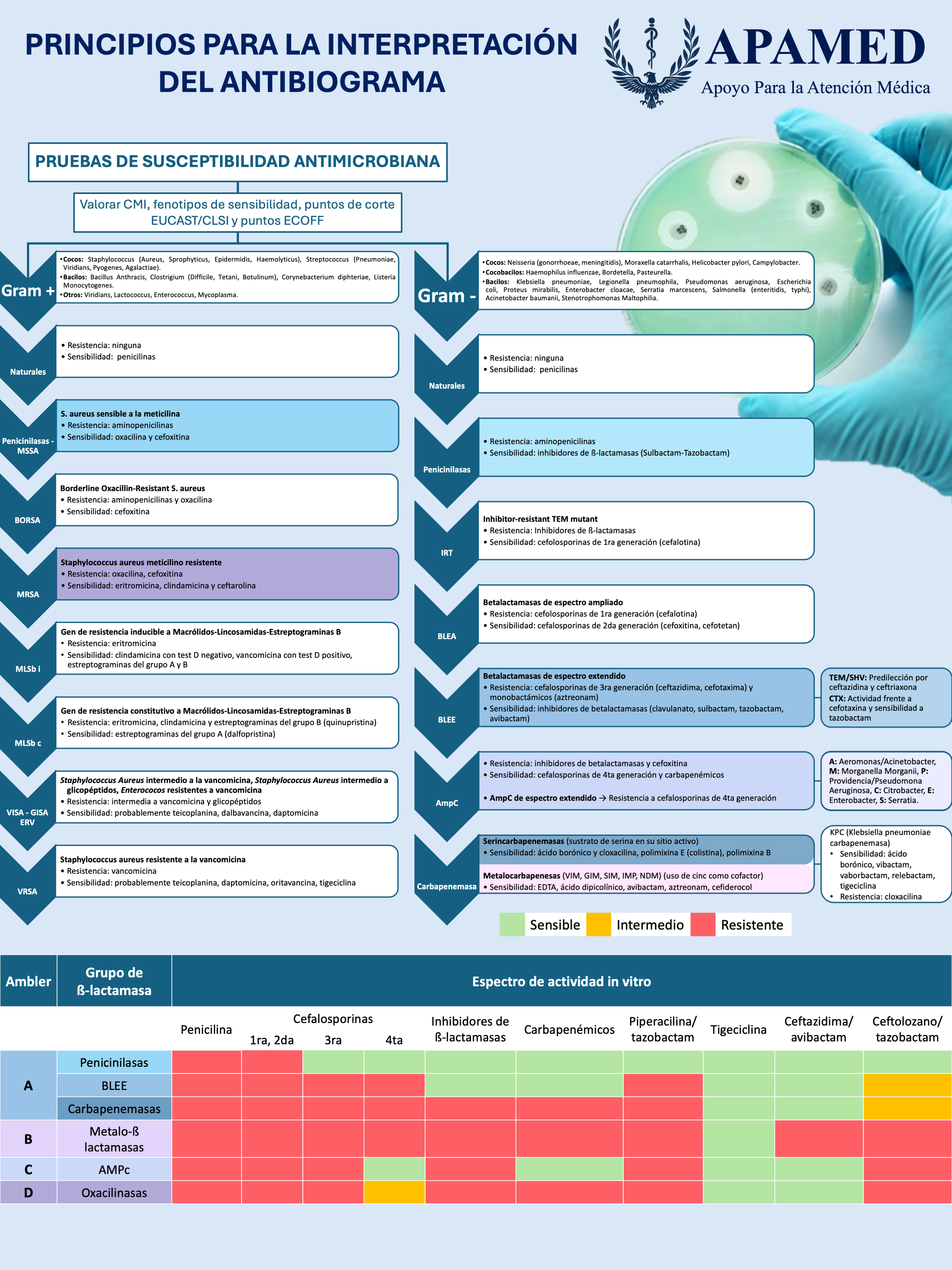 Imagen de infografía en alta resolución