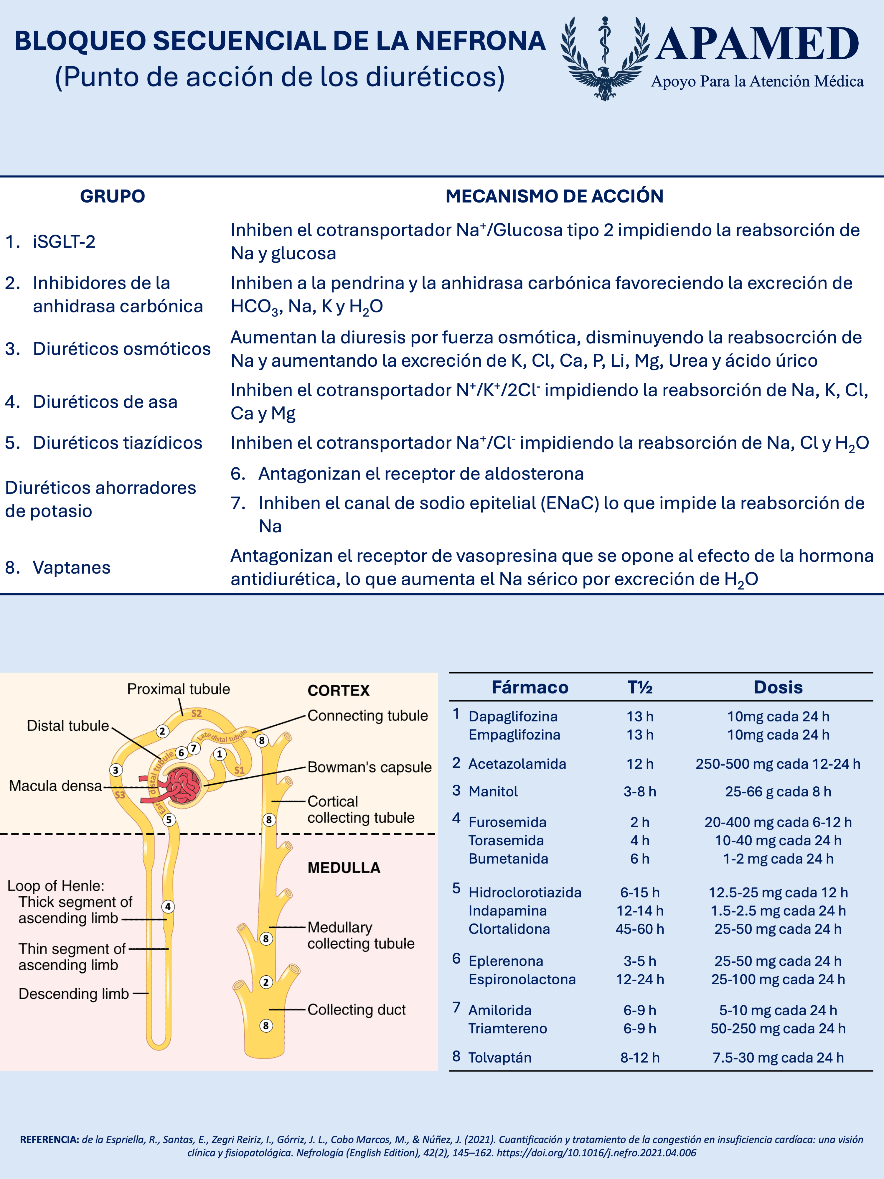 Imagen de infografía en alta resolución