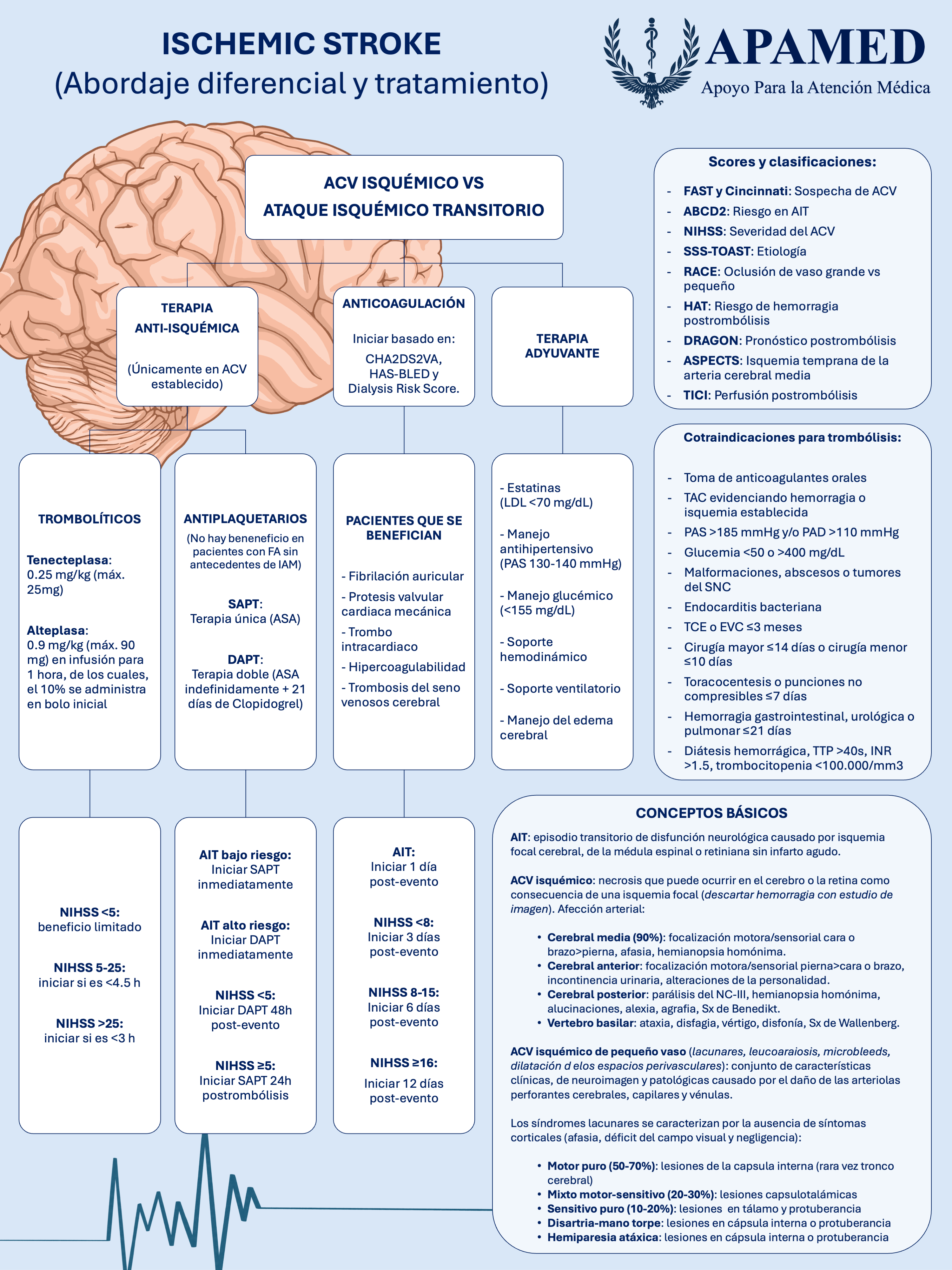 Imagen de infografía en alta resolución