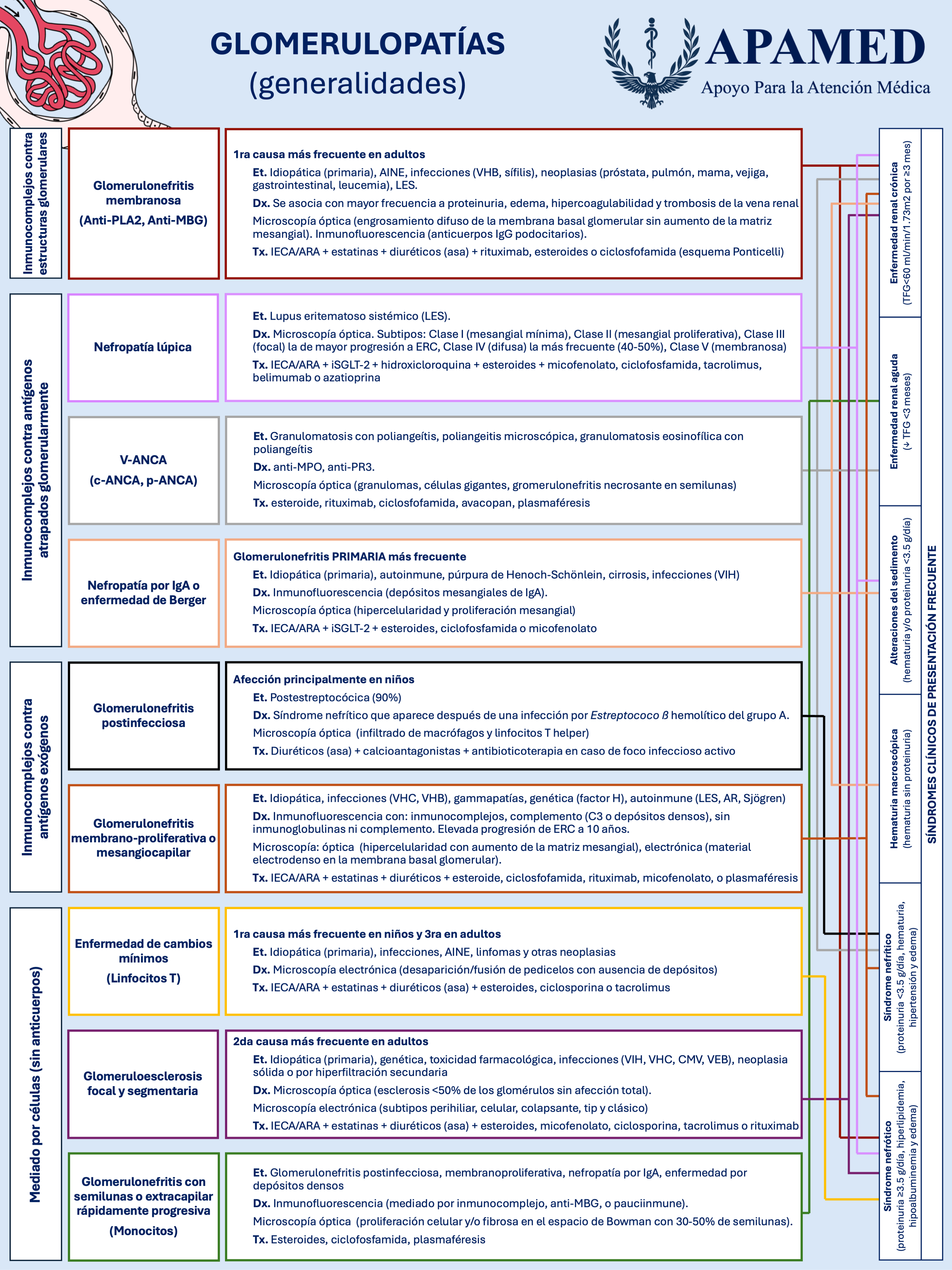 Imagen de infografía en alta resolución