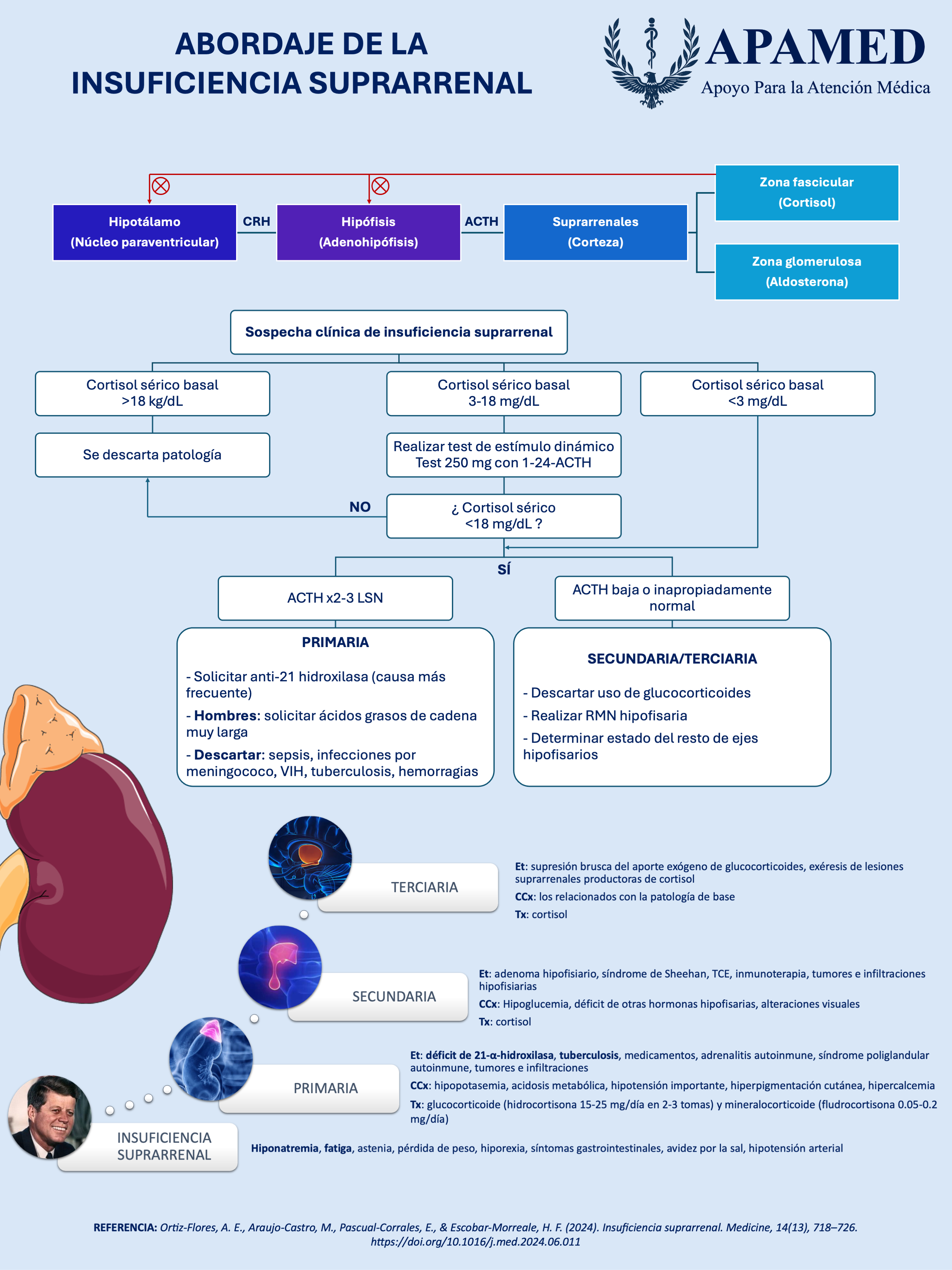 Imagen de infografía en alta resolución