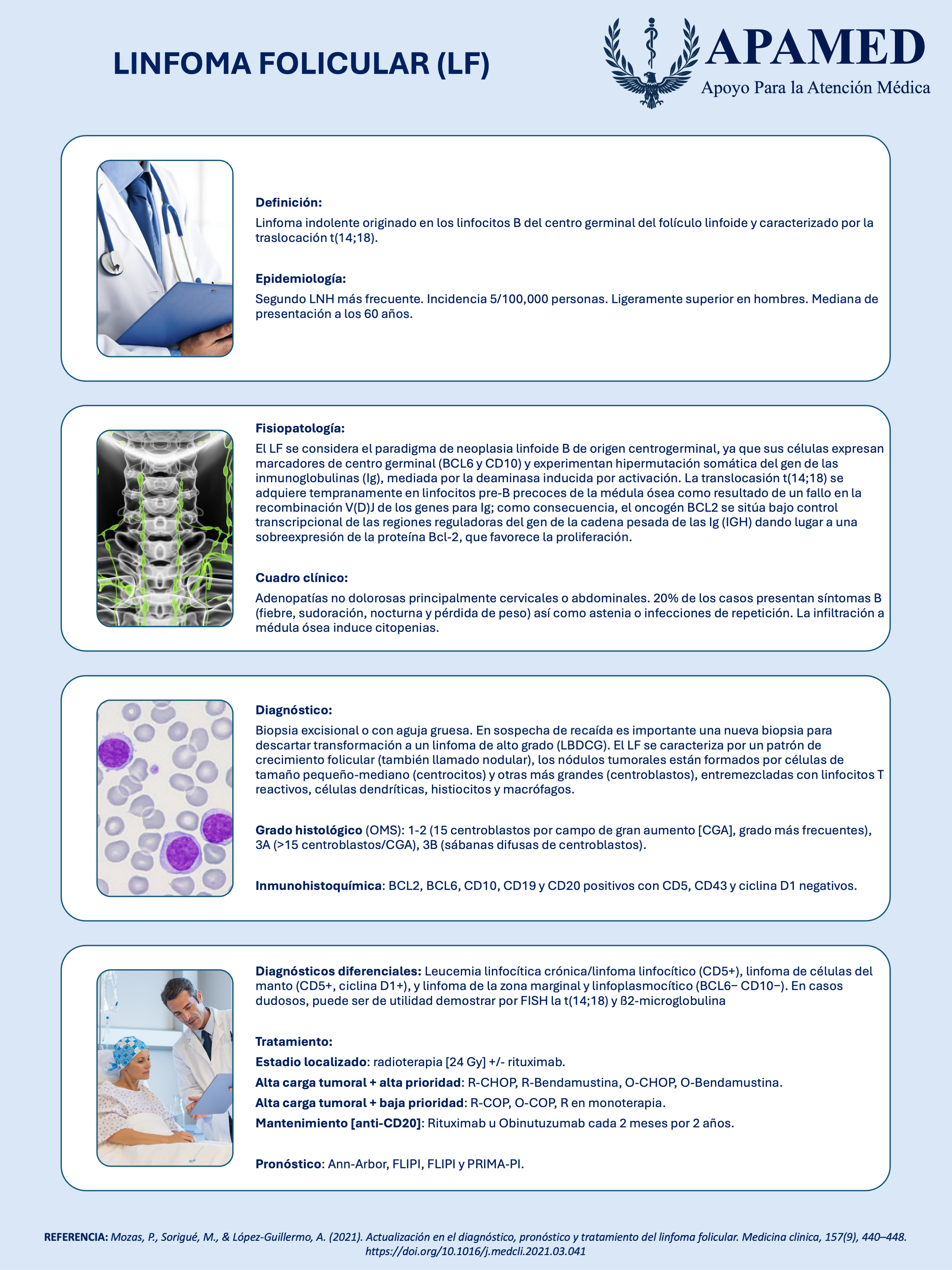 Imagen de infografía en alta resolución