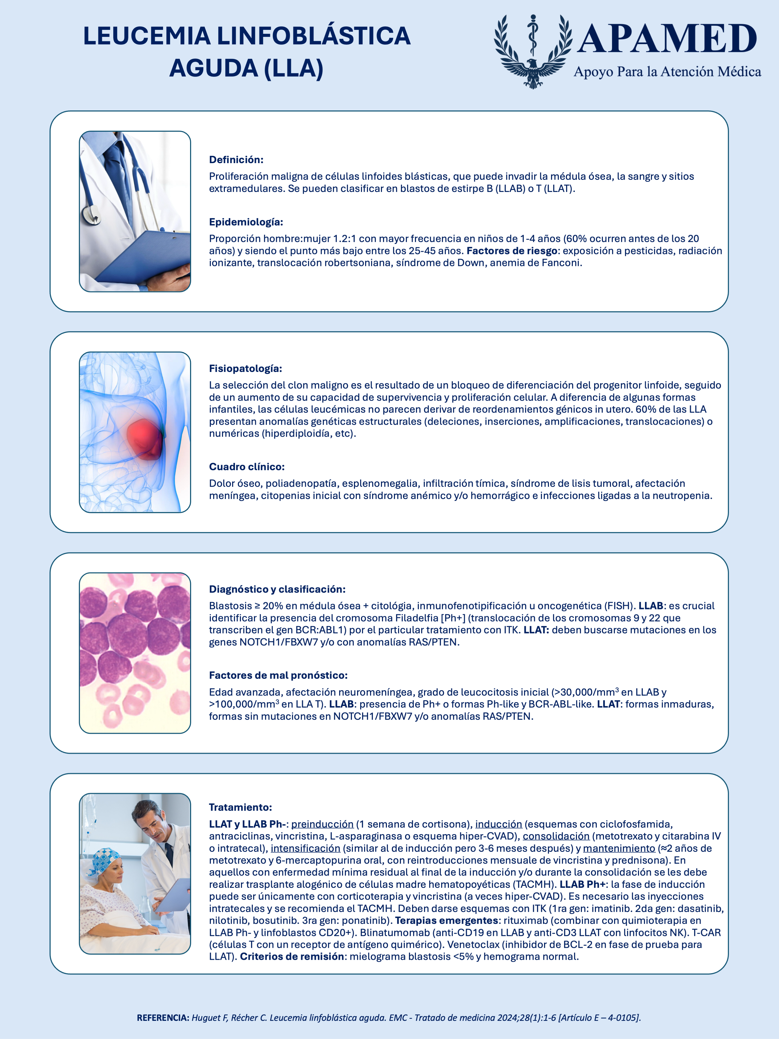 Imagen de infografía en alta resolución