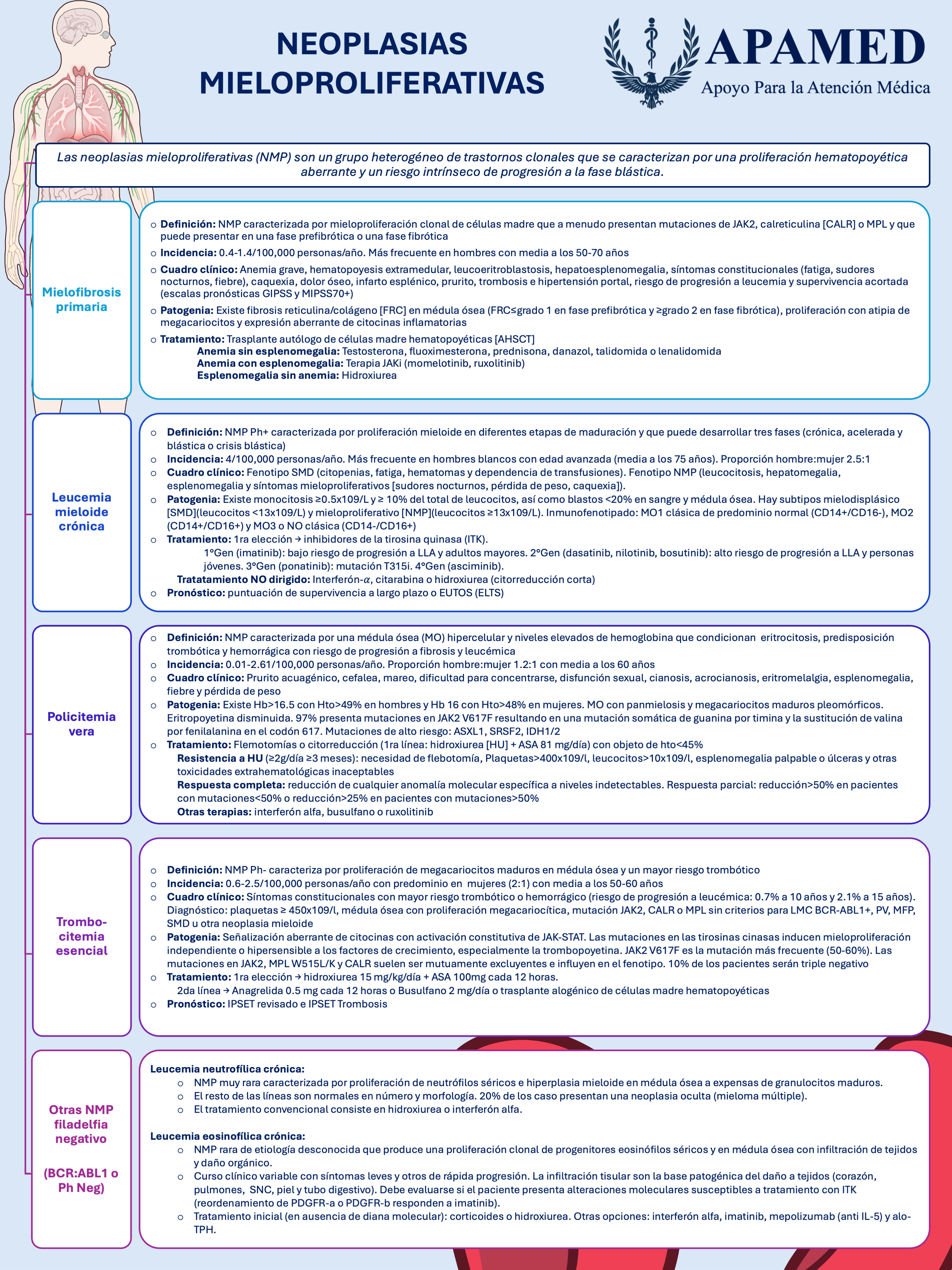 Imagen de infografía en alta resolución