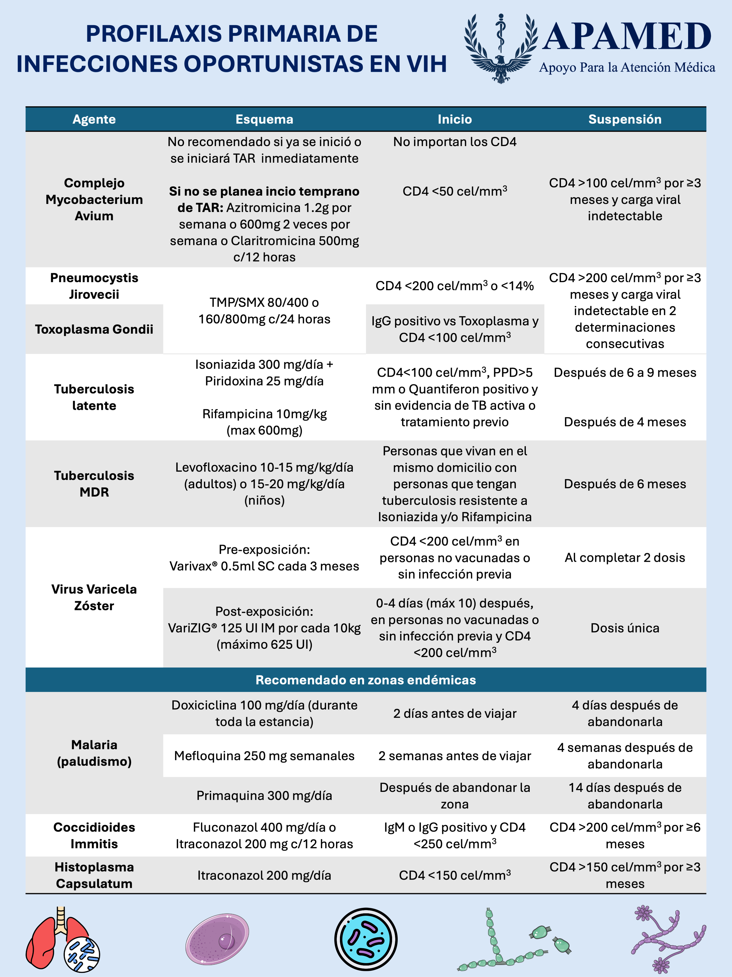 Imagen de infografía en alta resolución