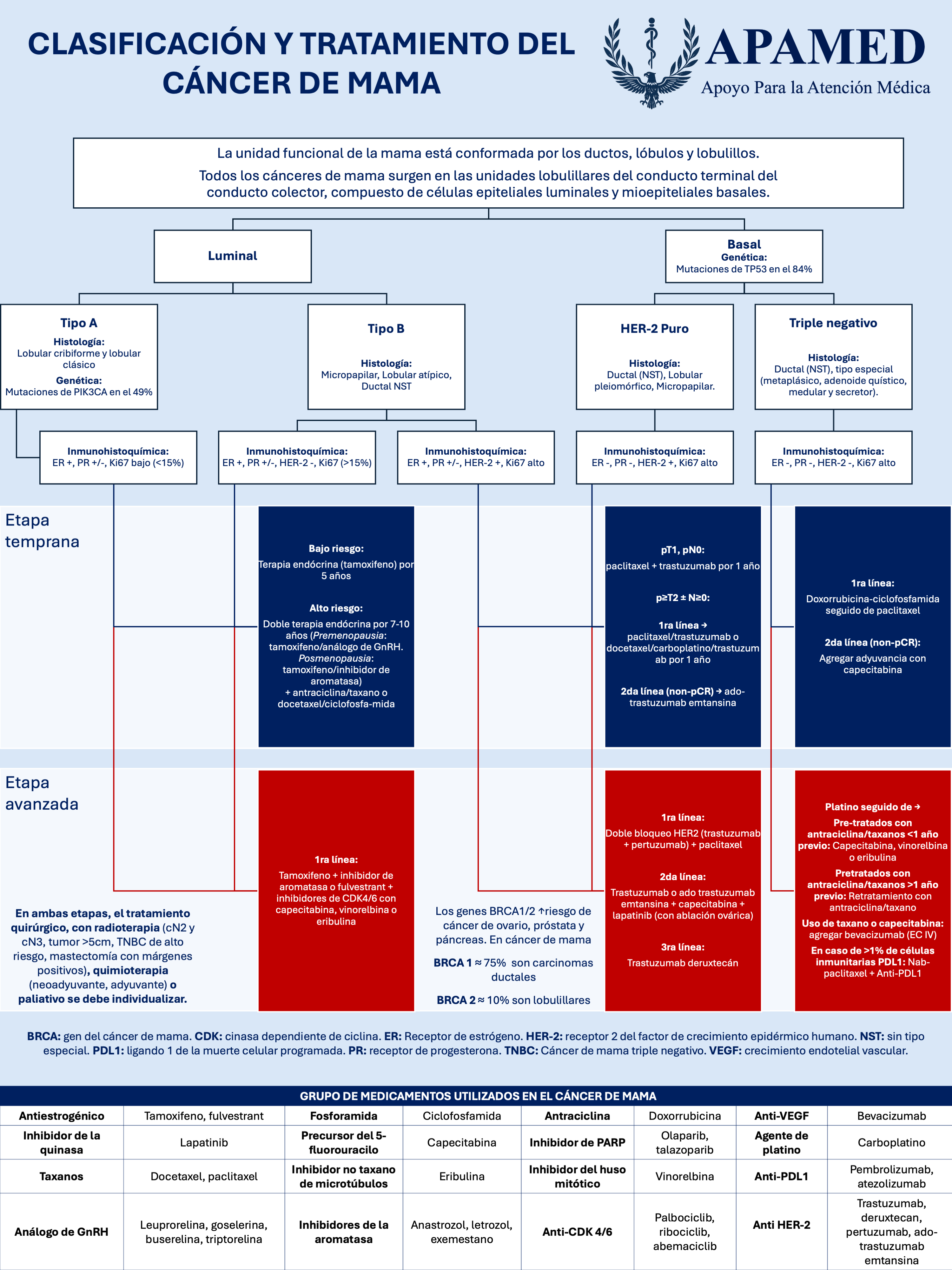 Imagen de infografía en alta resolución