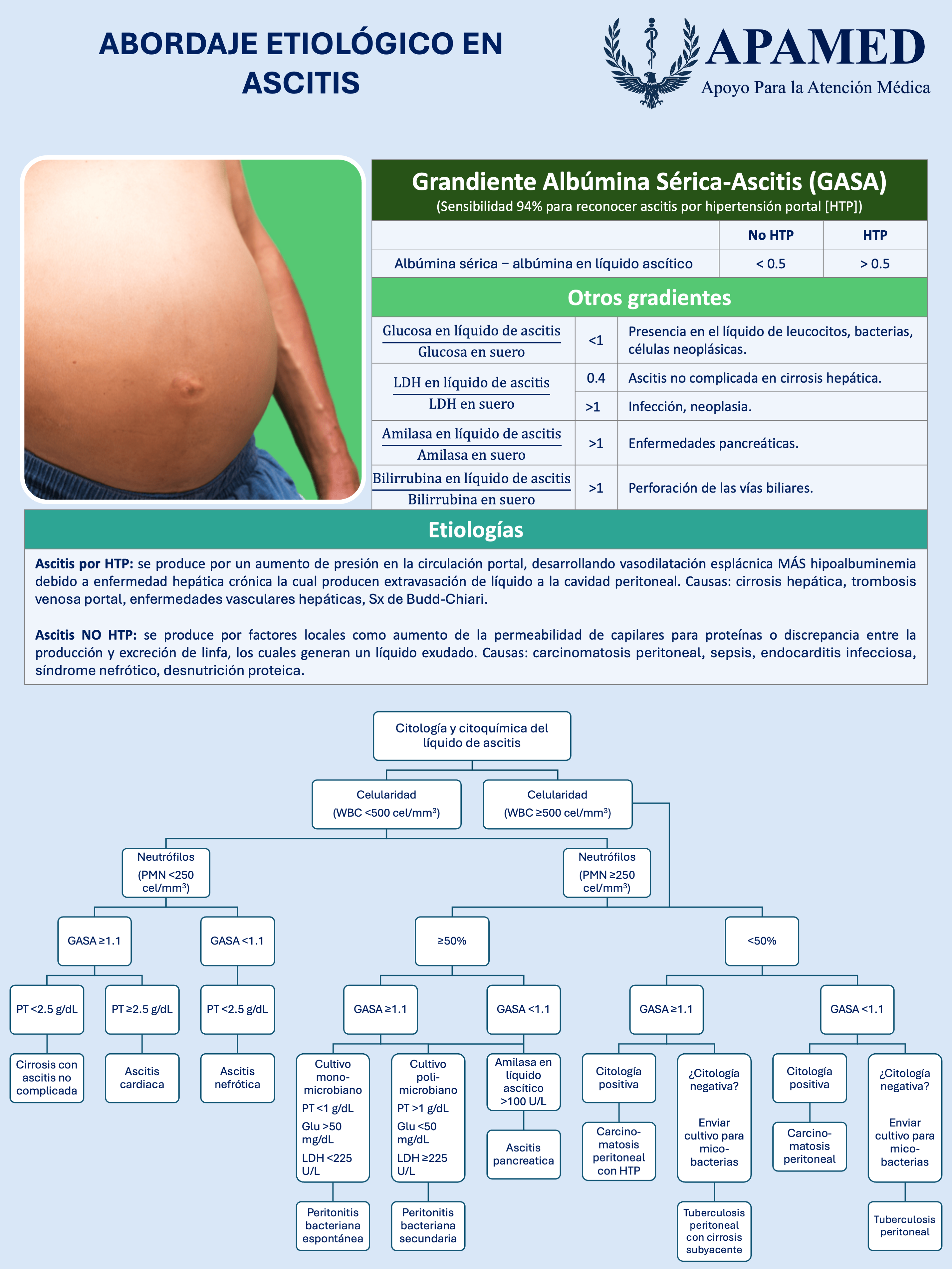 Imagen de infografía en alta resolución