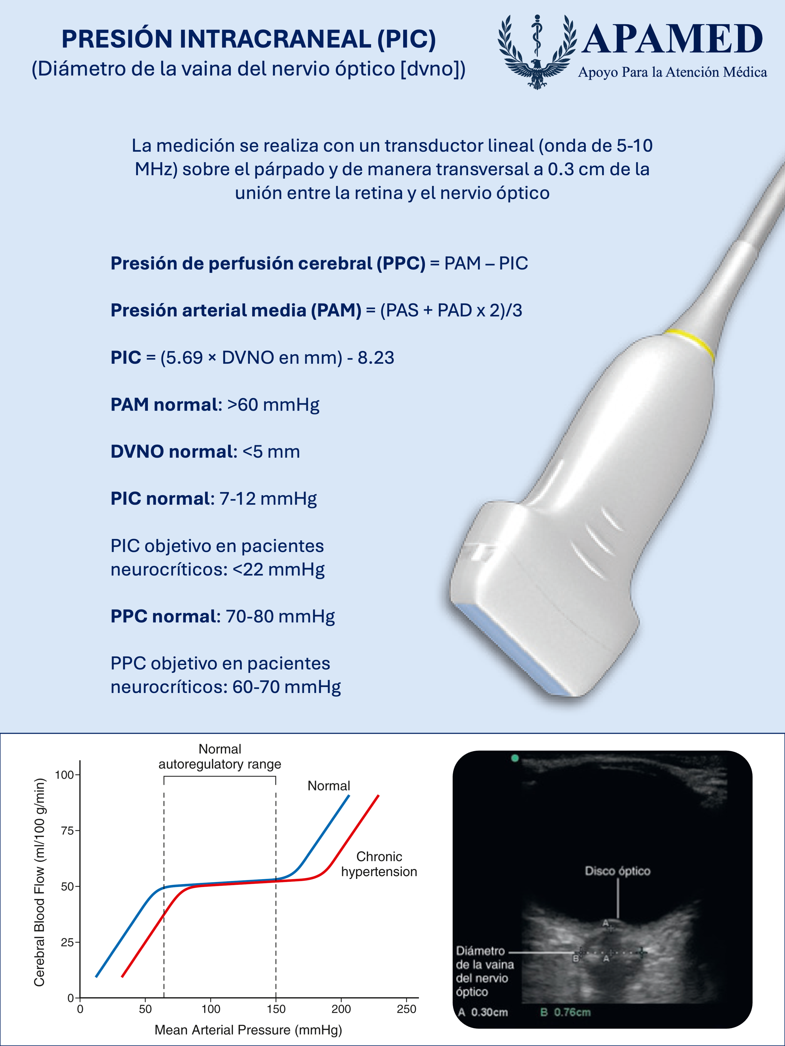 Imagen de infografía en alta resolución