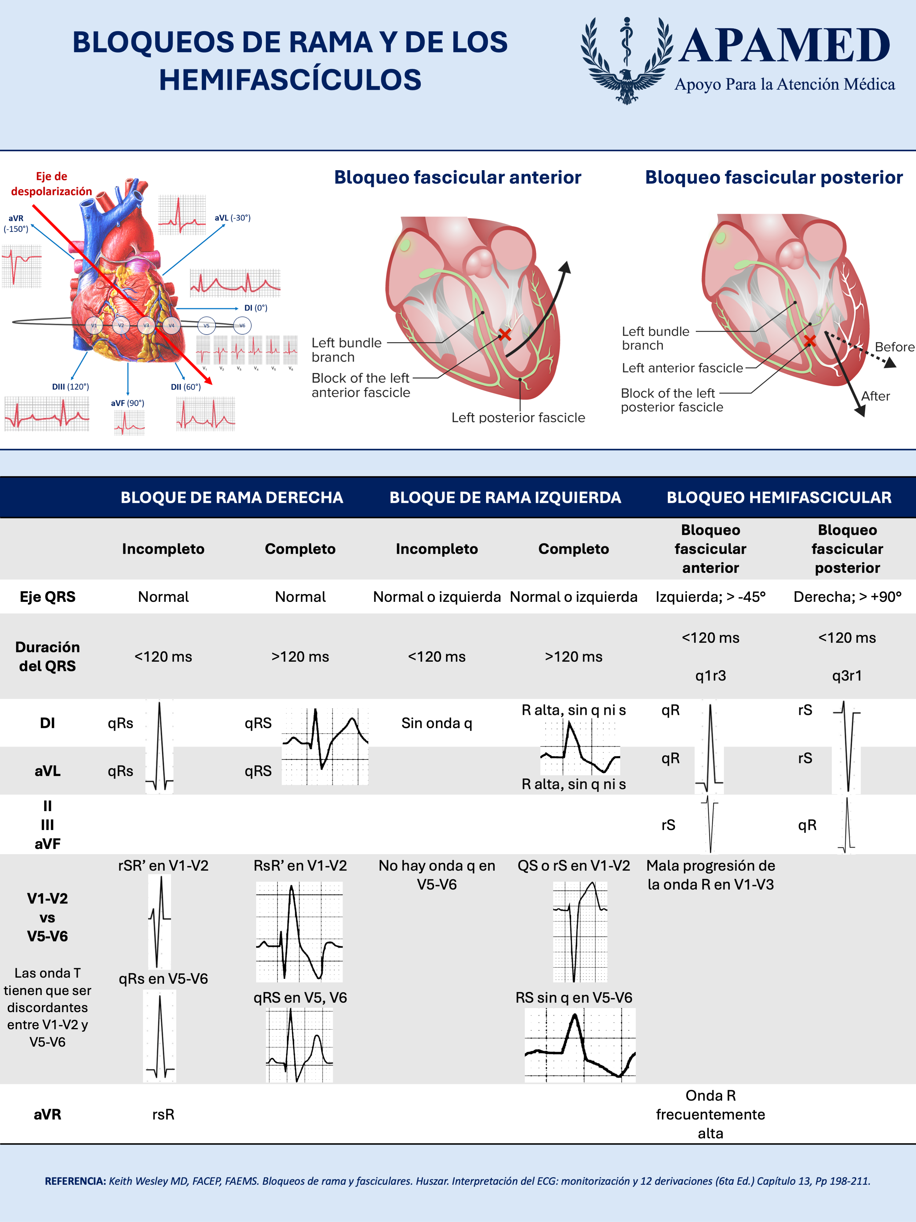 Imagen de infografía en alta resolución