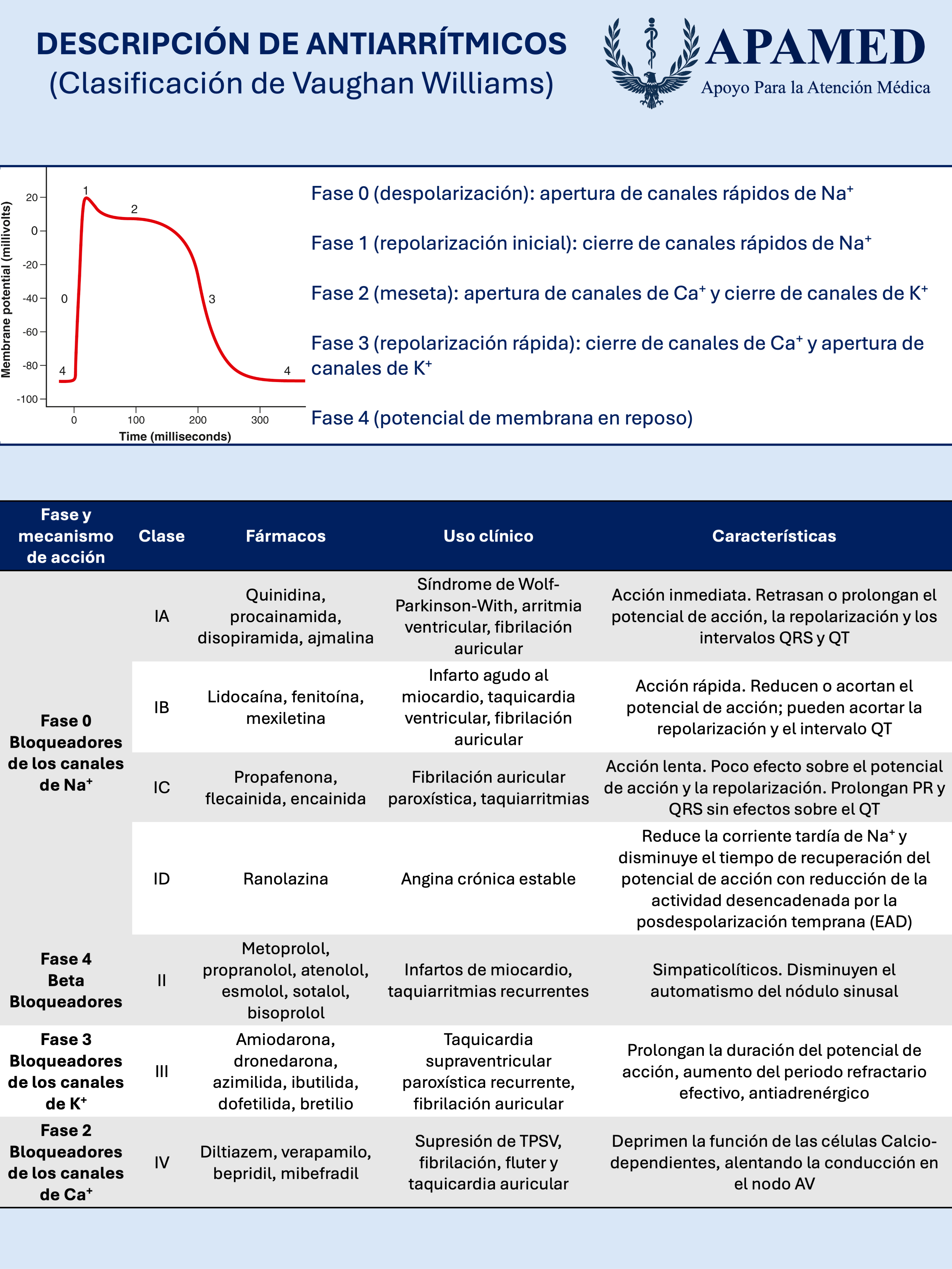 Imagen de infografía en alta resolución