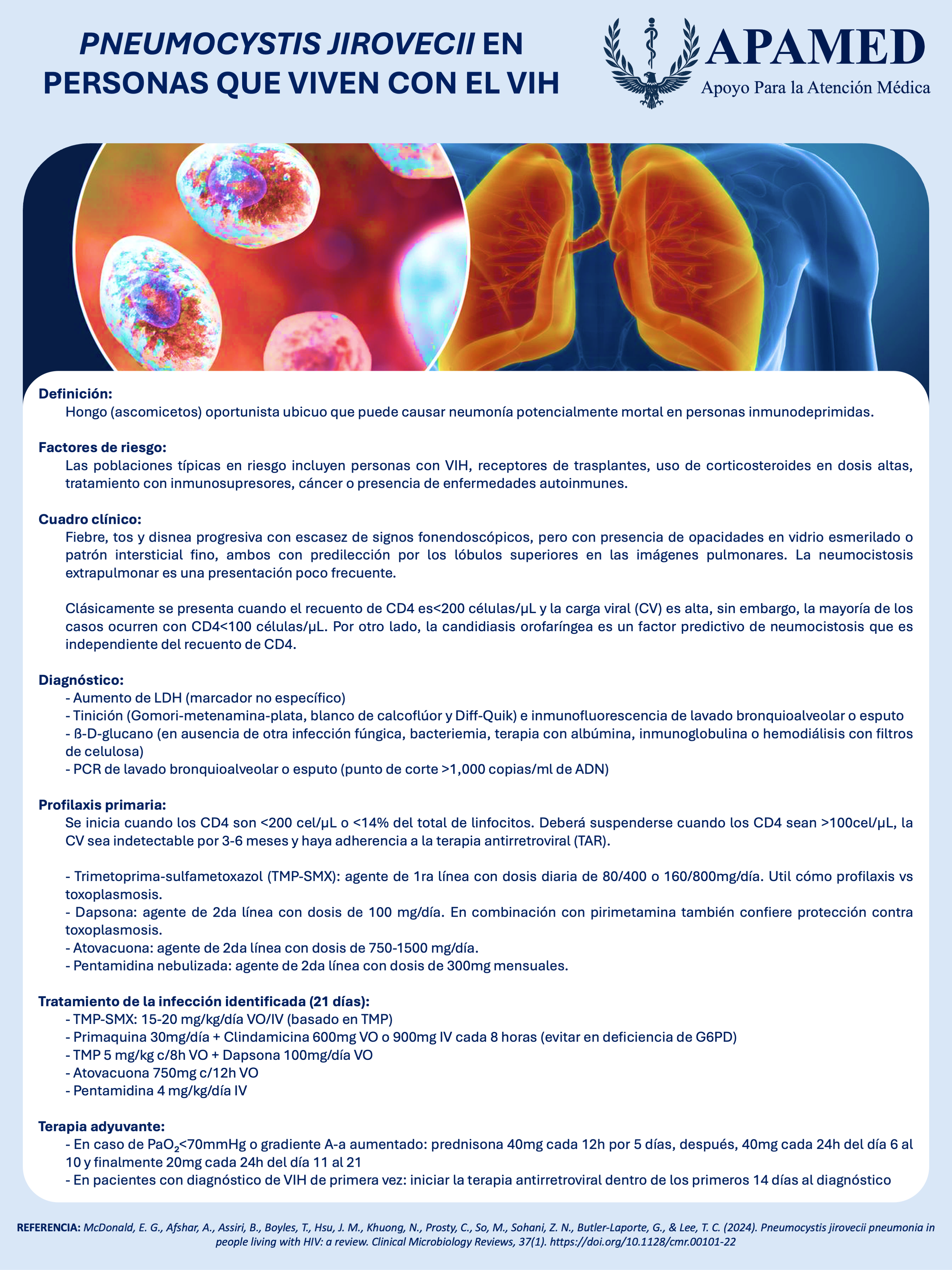 Imagen de infografía en alta resolución