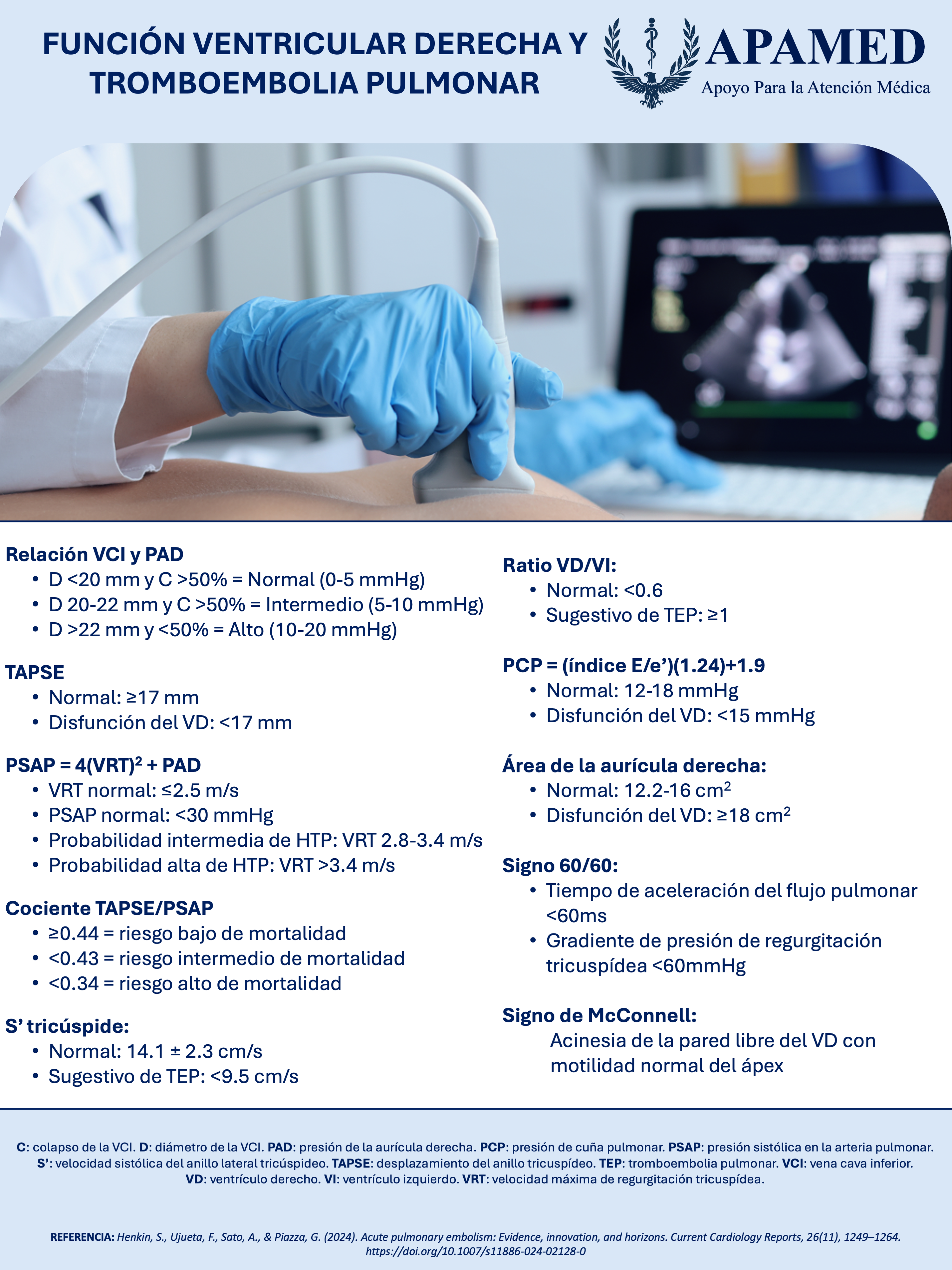 Imagen de infografía en alta resolución