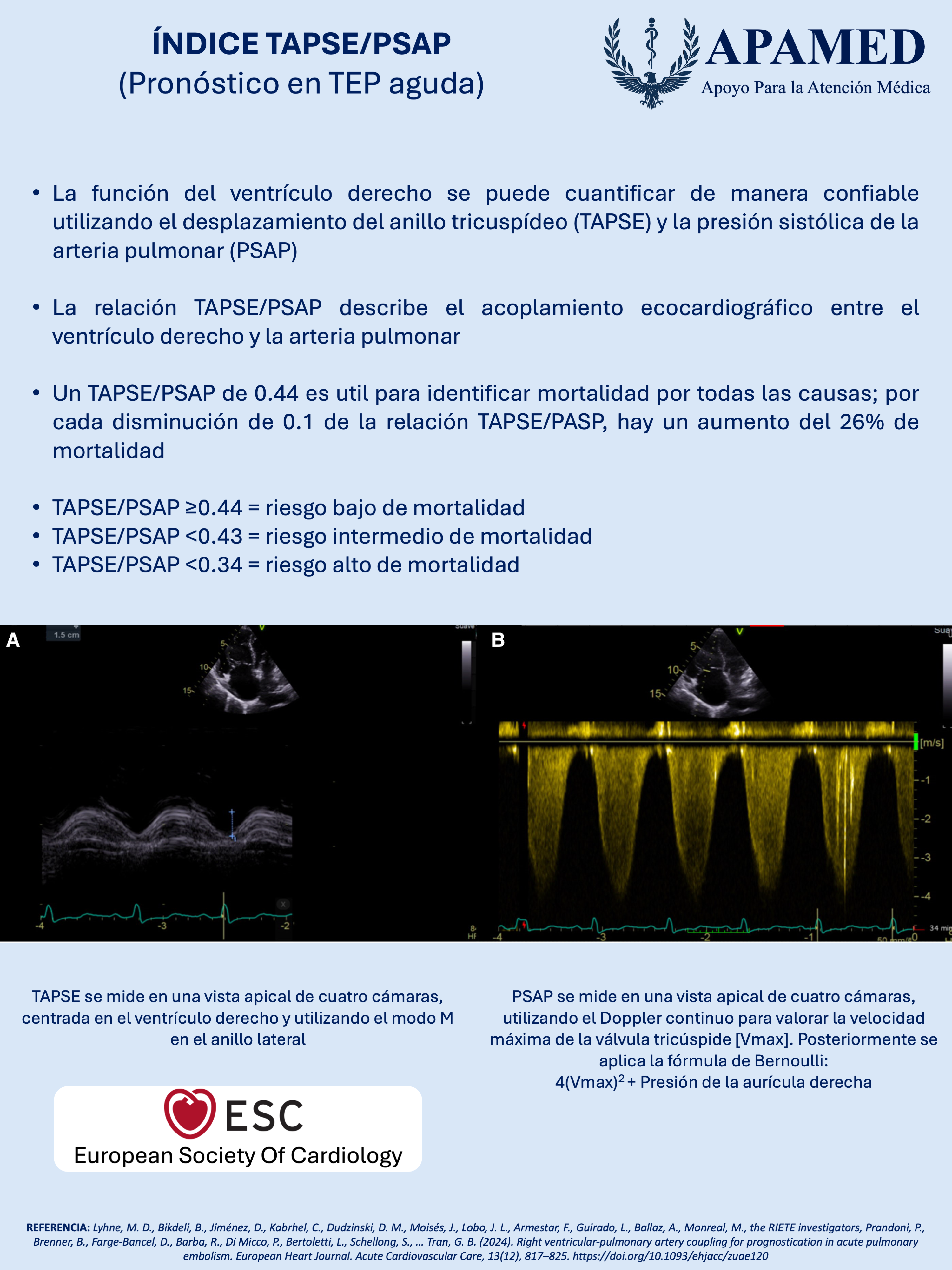 Imagen de infografía en alta resolución