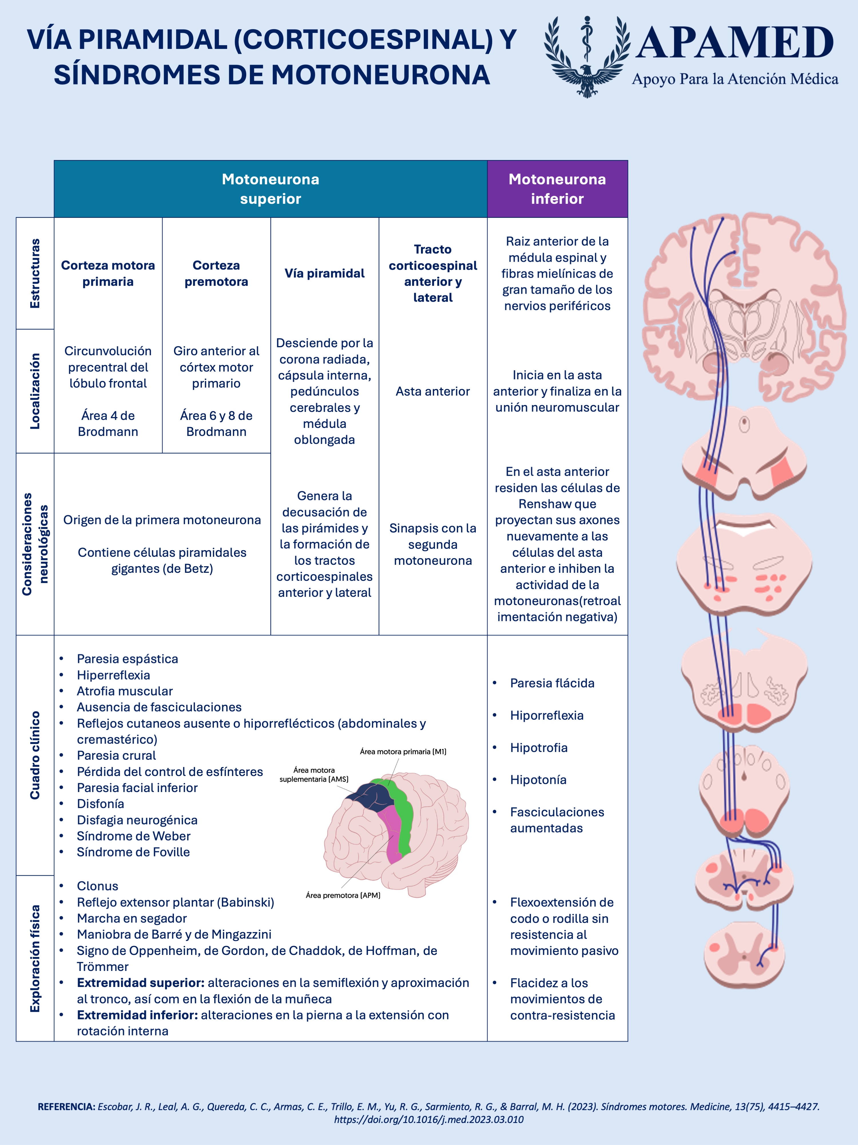 Imagen de infografía en alta resolución