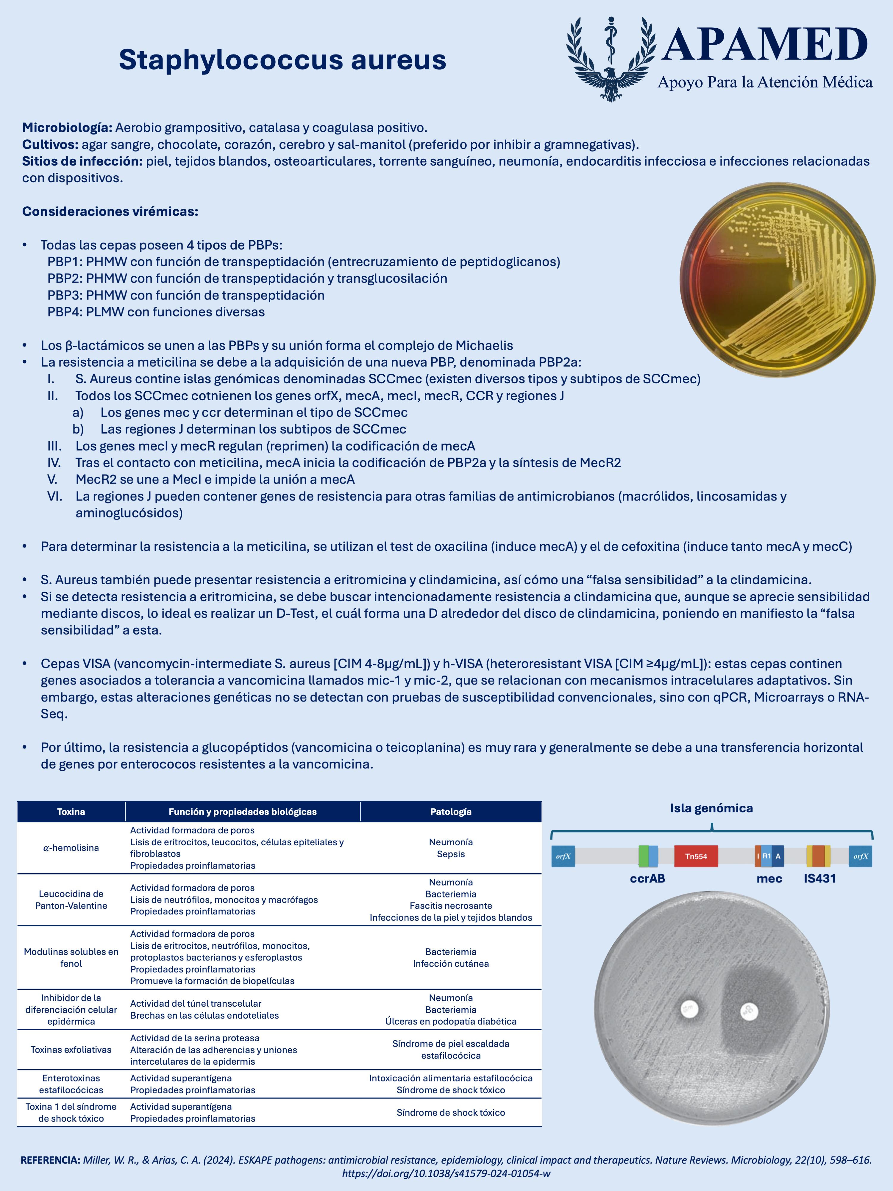 Imagen de infografía en alta resolución
