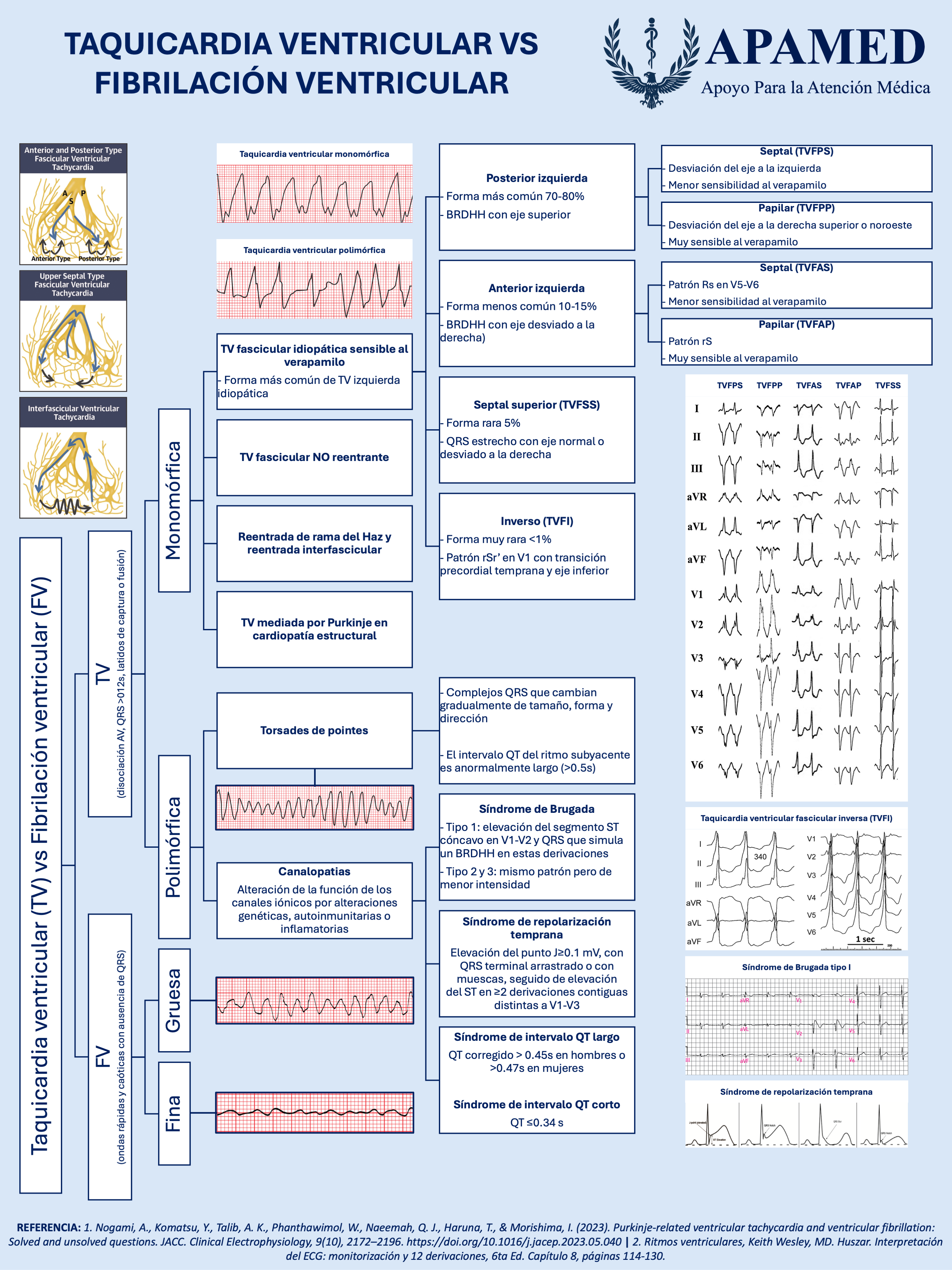 Imagen de infografía en alta resolución