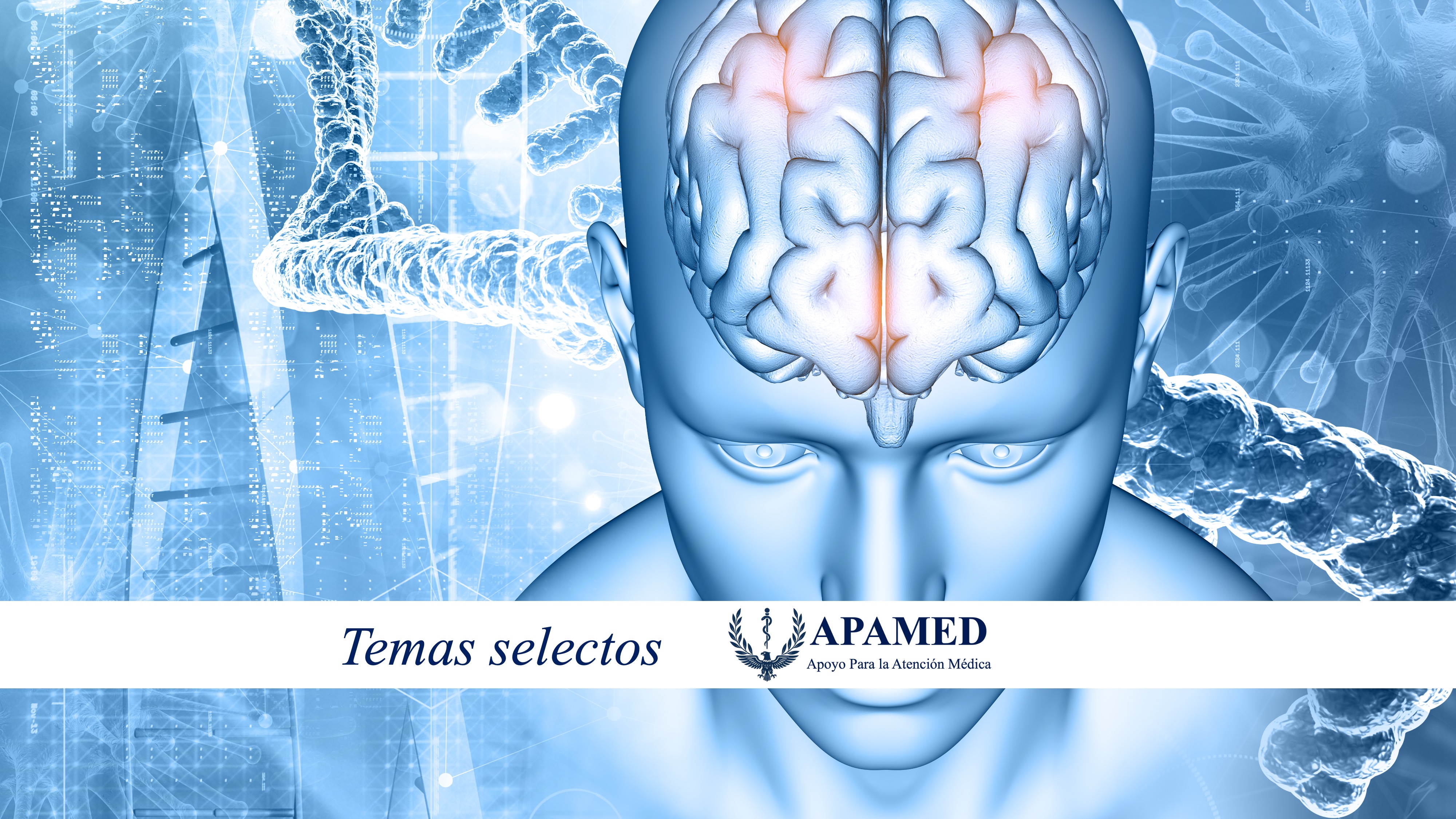 Imagen de portada