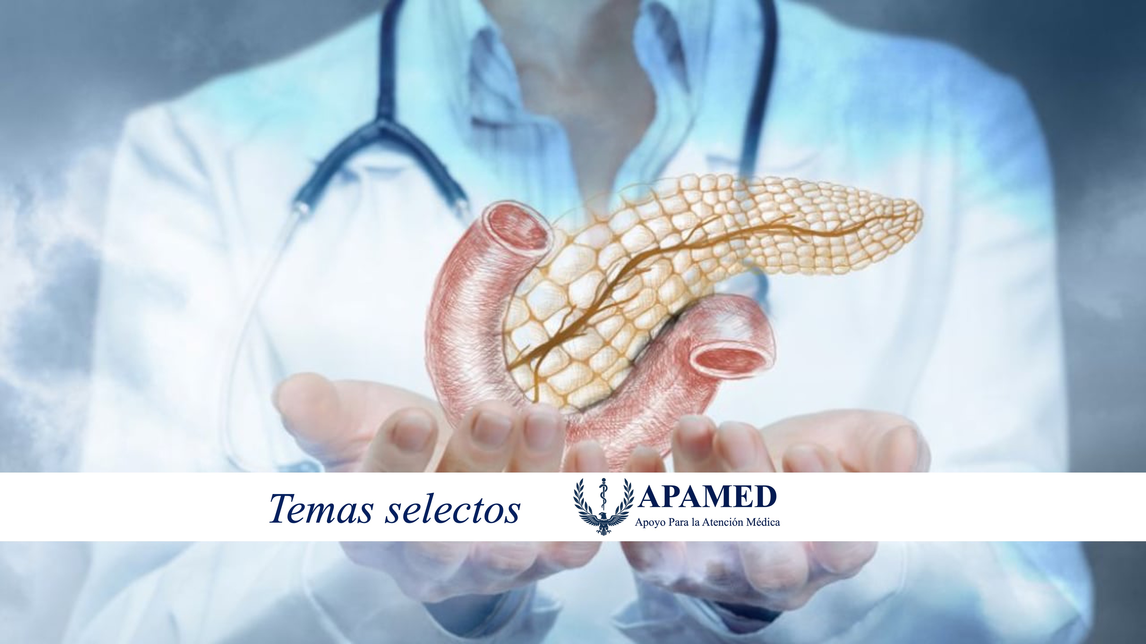 Imagen de portada