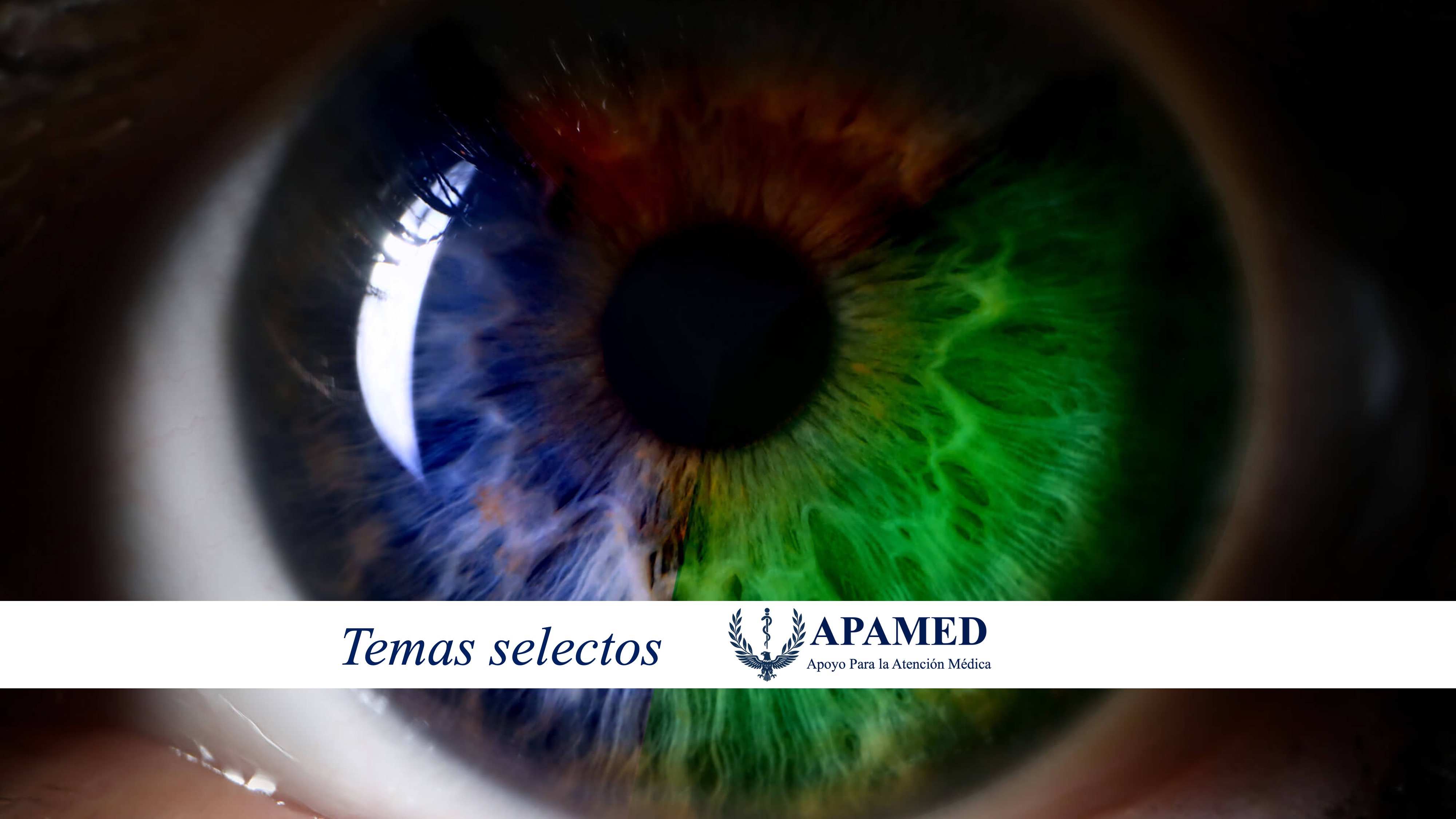 Imagen de portada