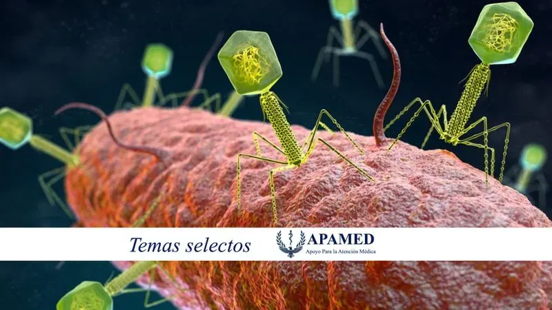 Puedes subir una foto de portada