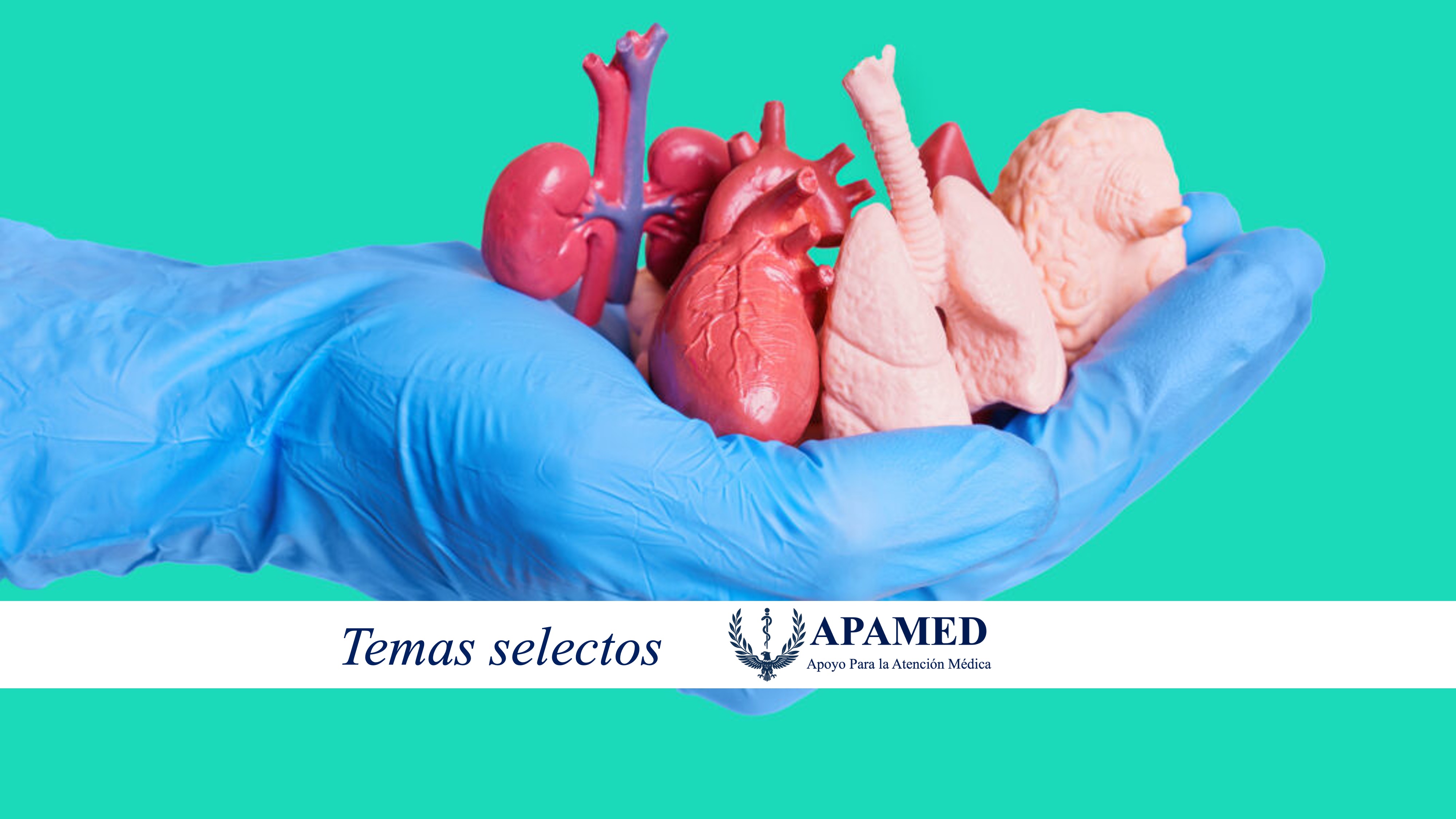 Imagen de portada