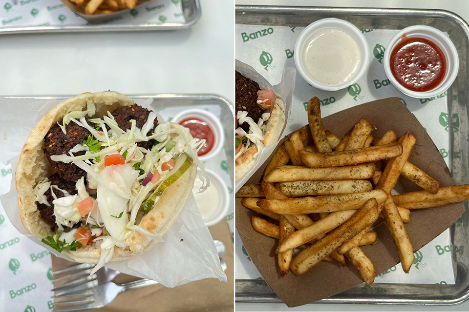 Falafel pita and fries