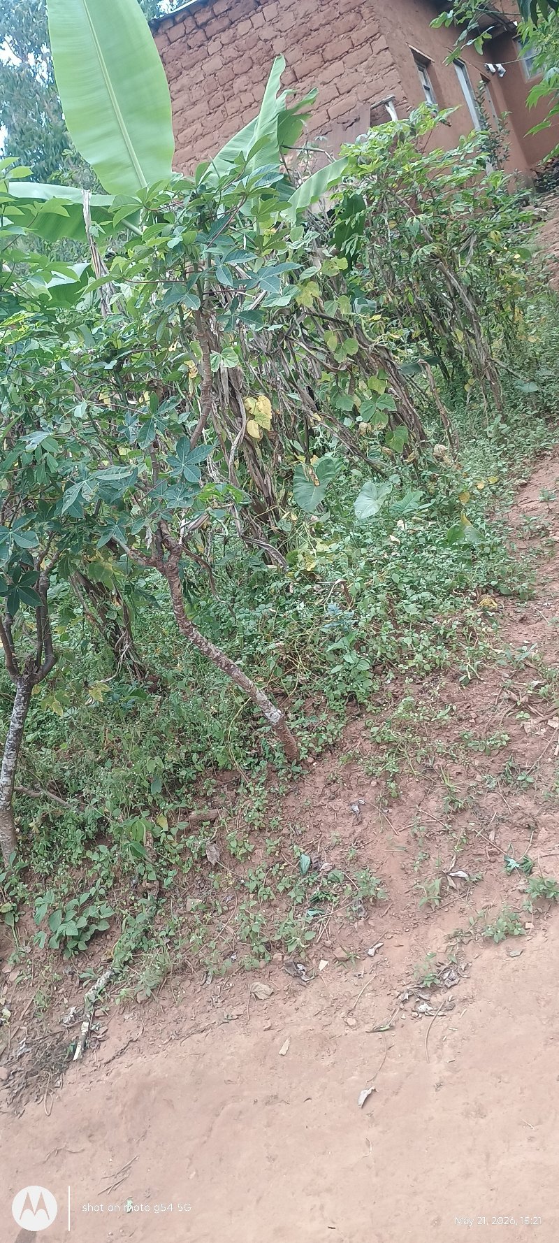 parcelle iriko iragurishwa kandi imeze neza cane iri kumugwa mukuru wa politique wigihugu c,Uburundi