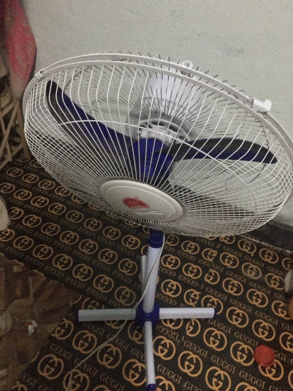 fan