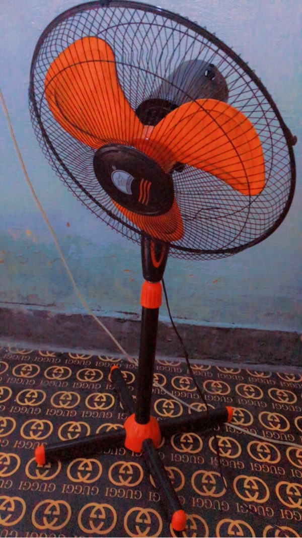 Fan