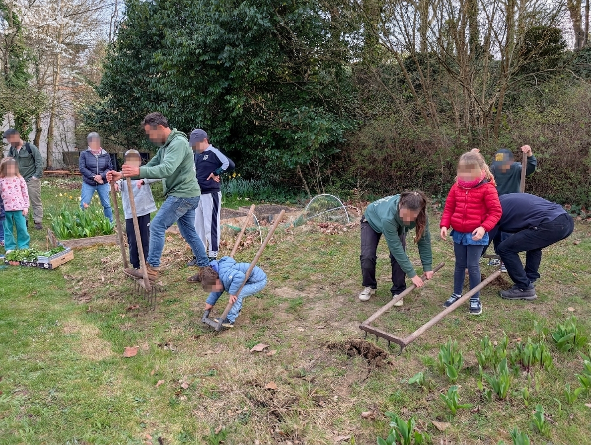 Préparation du potager