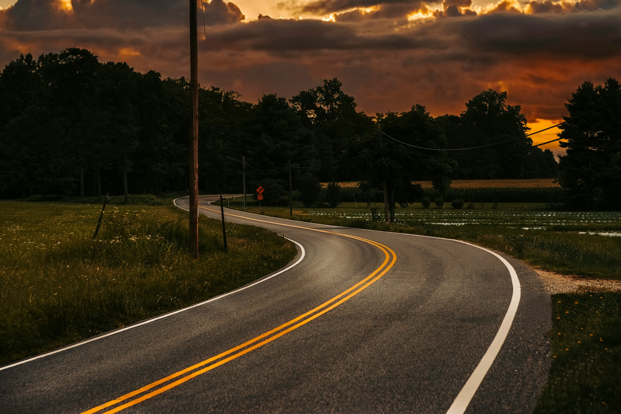 11Roads hero - a road with trees on the side