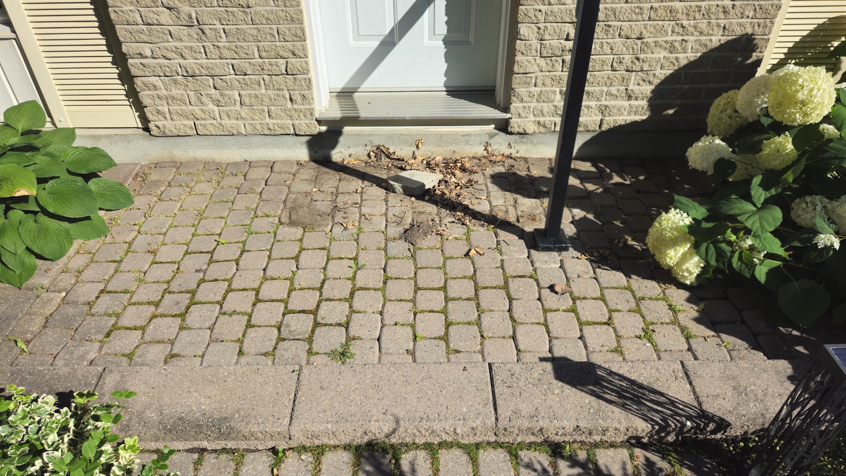 A sunken and uneven interlock walkway.